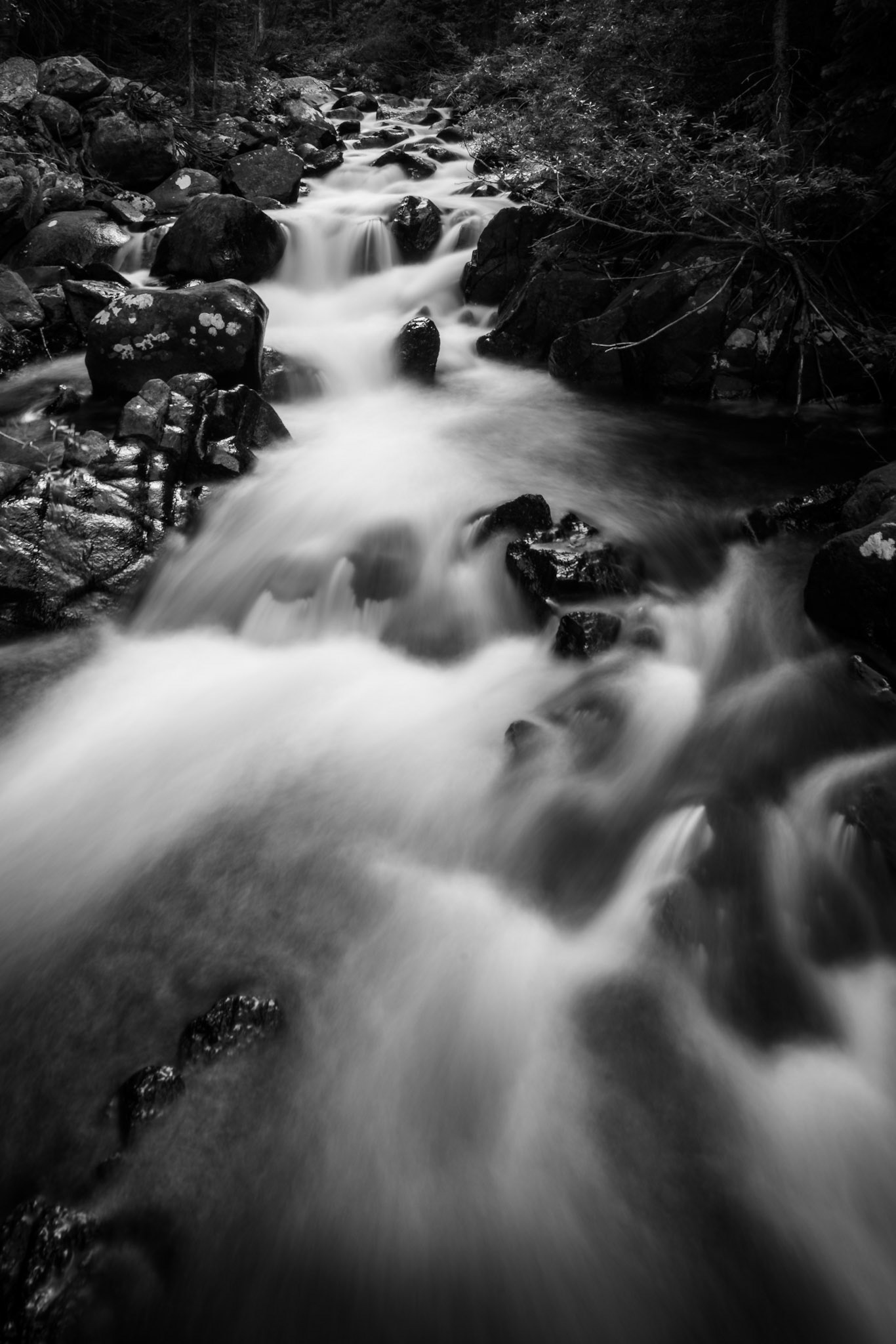 Arapaho and Roosevelt National Forest
