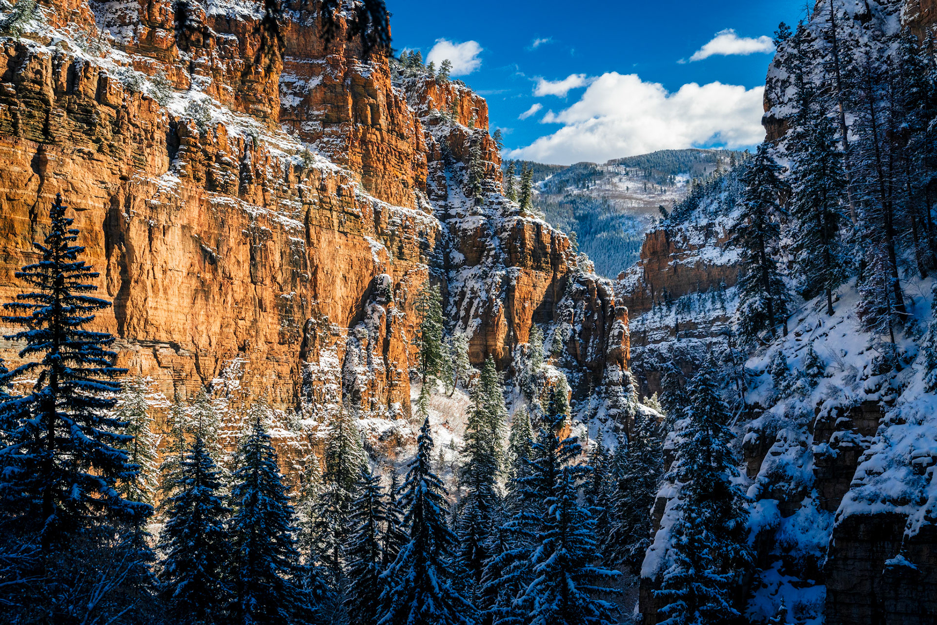 White River National Forest