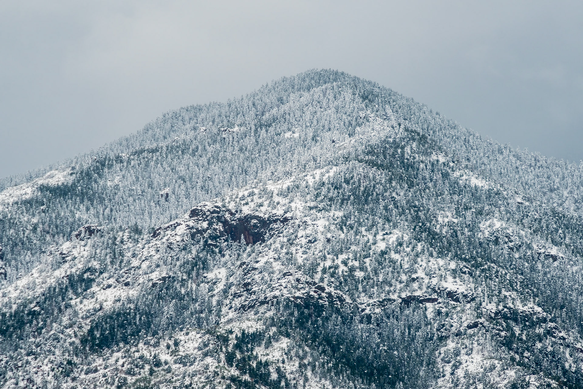 Pike and San Isabel National Forest