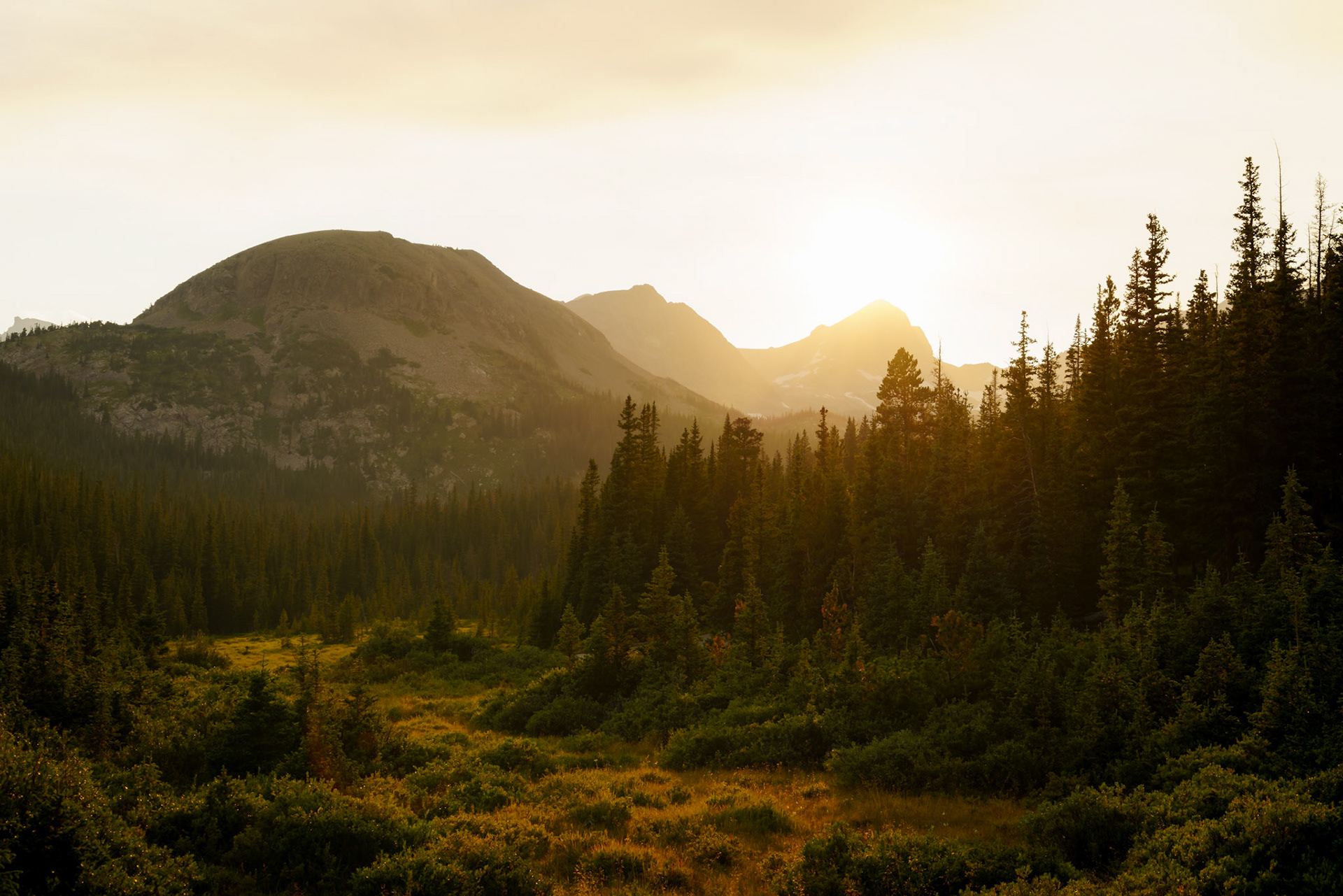Arapaho and Roosevelt National Forest