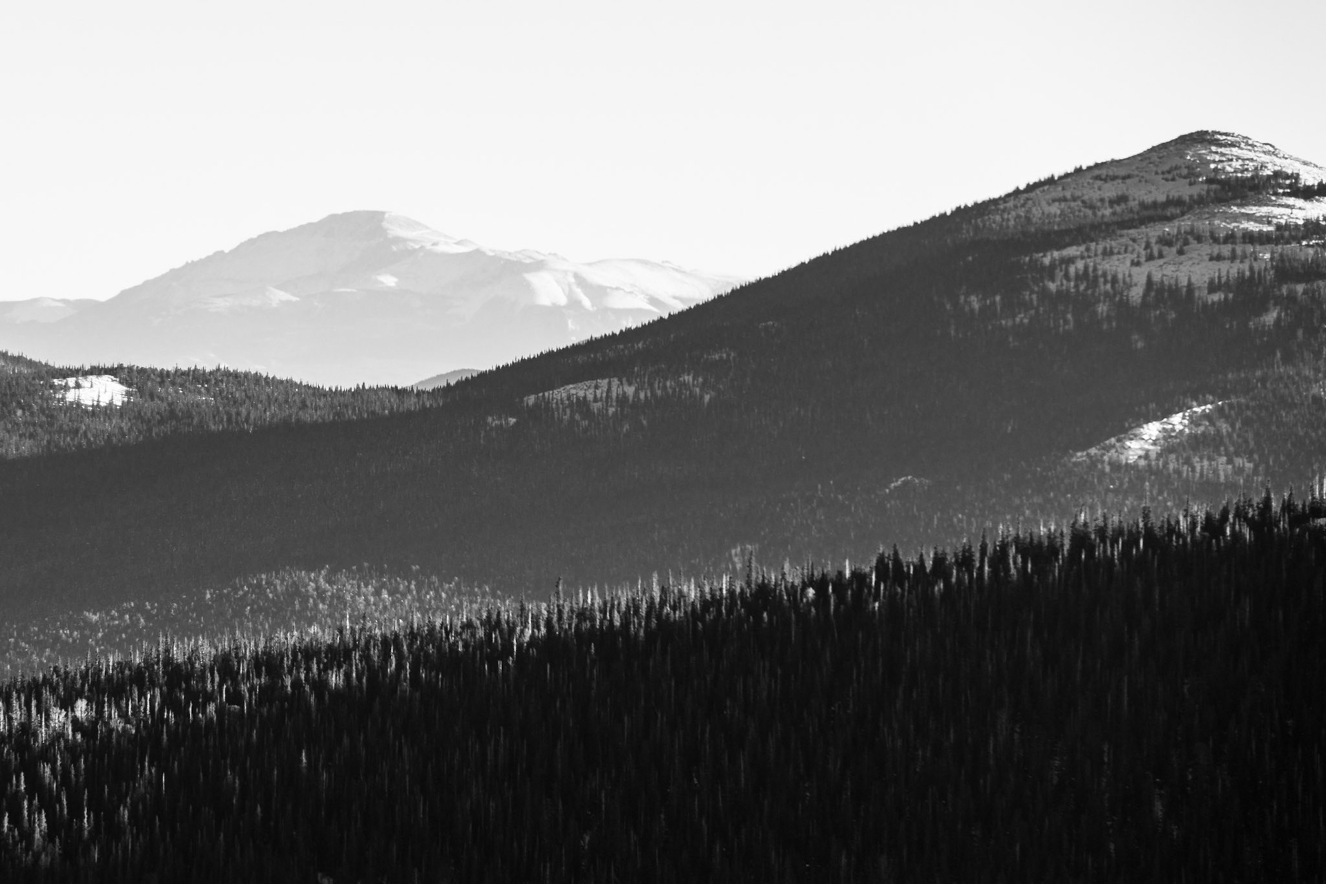Arapaho and Roosevelt National Forest