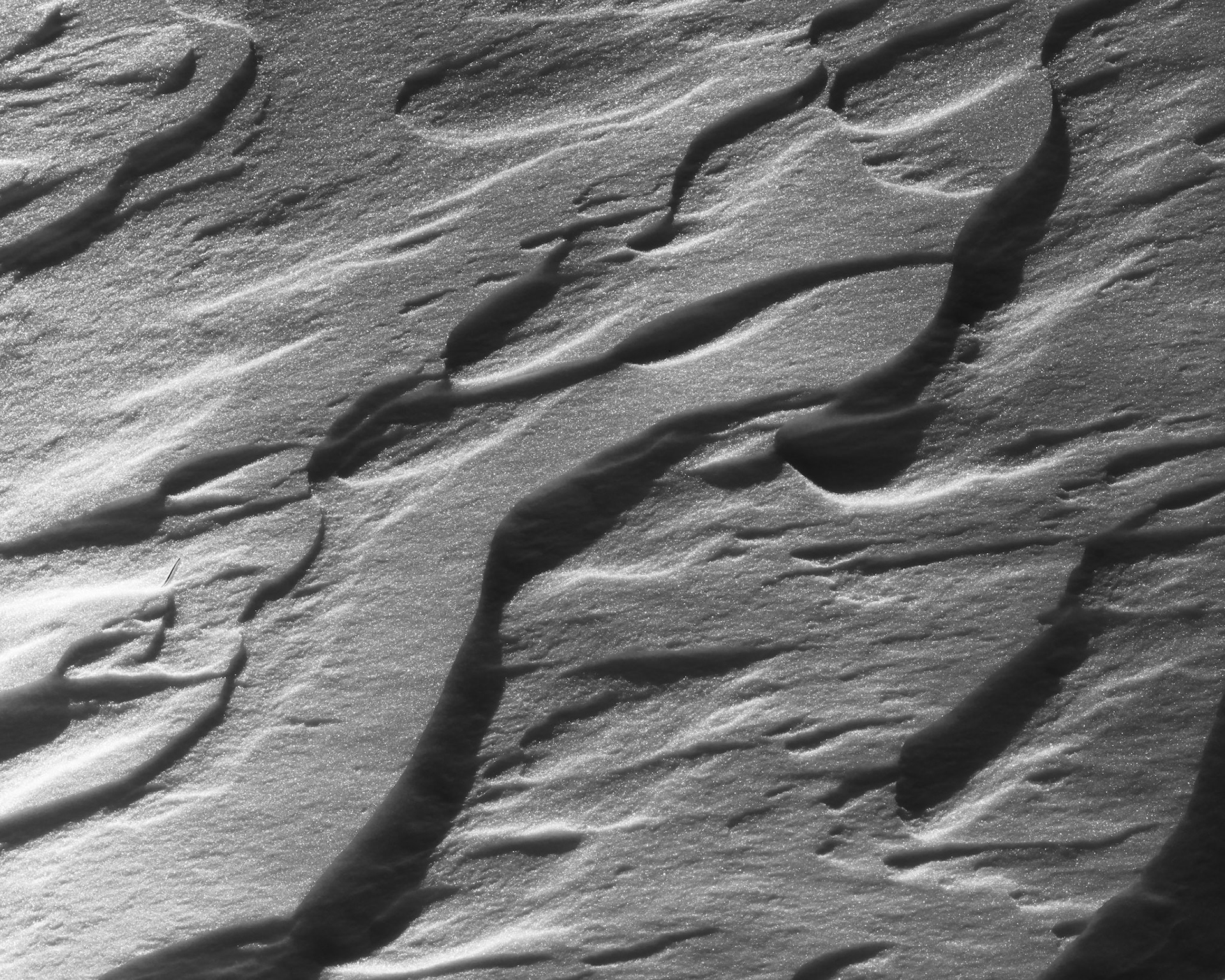 Arapaho and Roosevelt National Forest