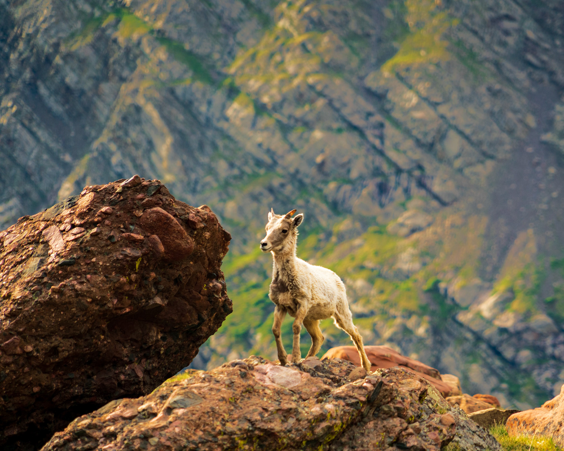 Pike and San Isabel National Forest