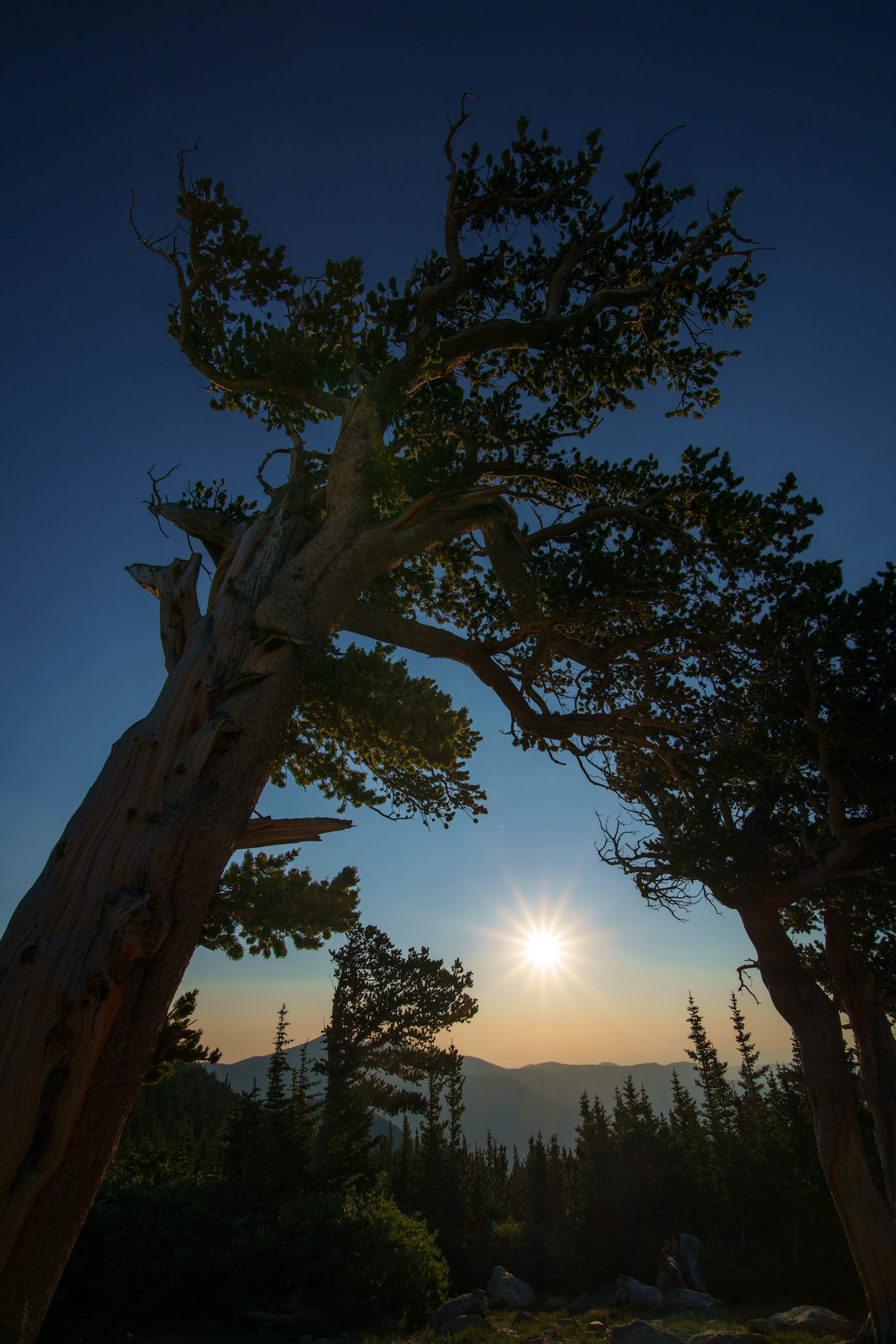 Arapaho and Roosevelt National Forest