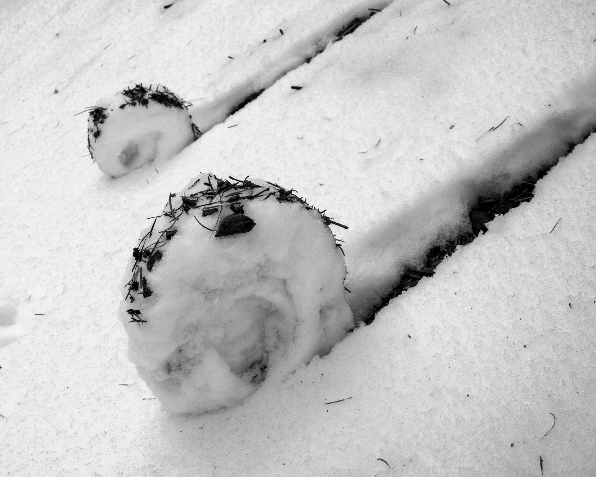 Arapaho and Roosevelt National Forest