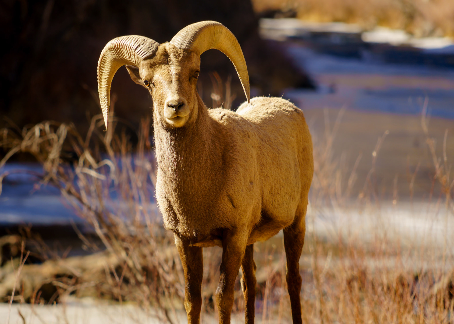 You Think You're Tough?