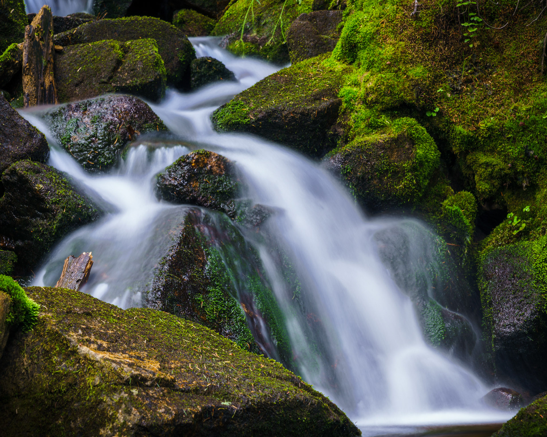 Arapaho and Roosevelt National Forest