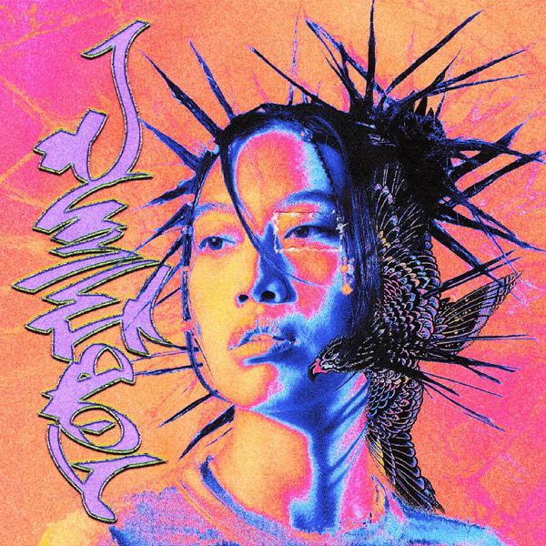 VINTED VINEER - Tobi Yume