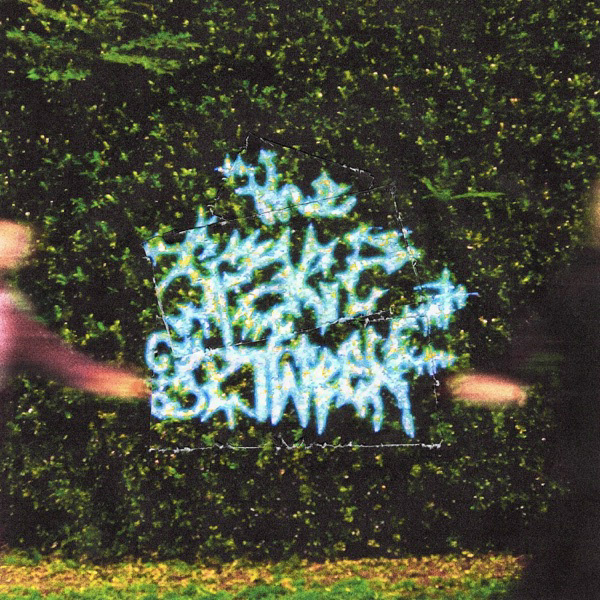 VINTED VINEER - The Space Between