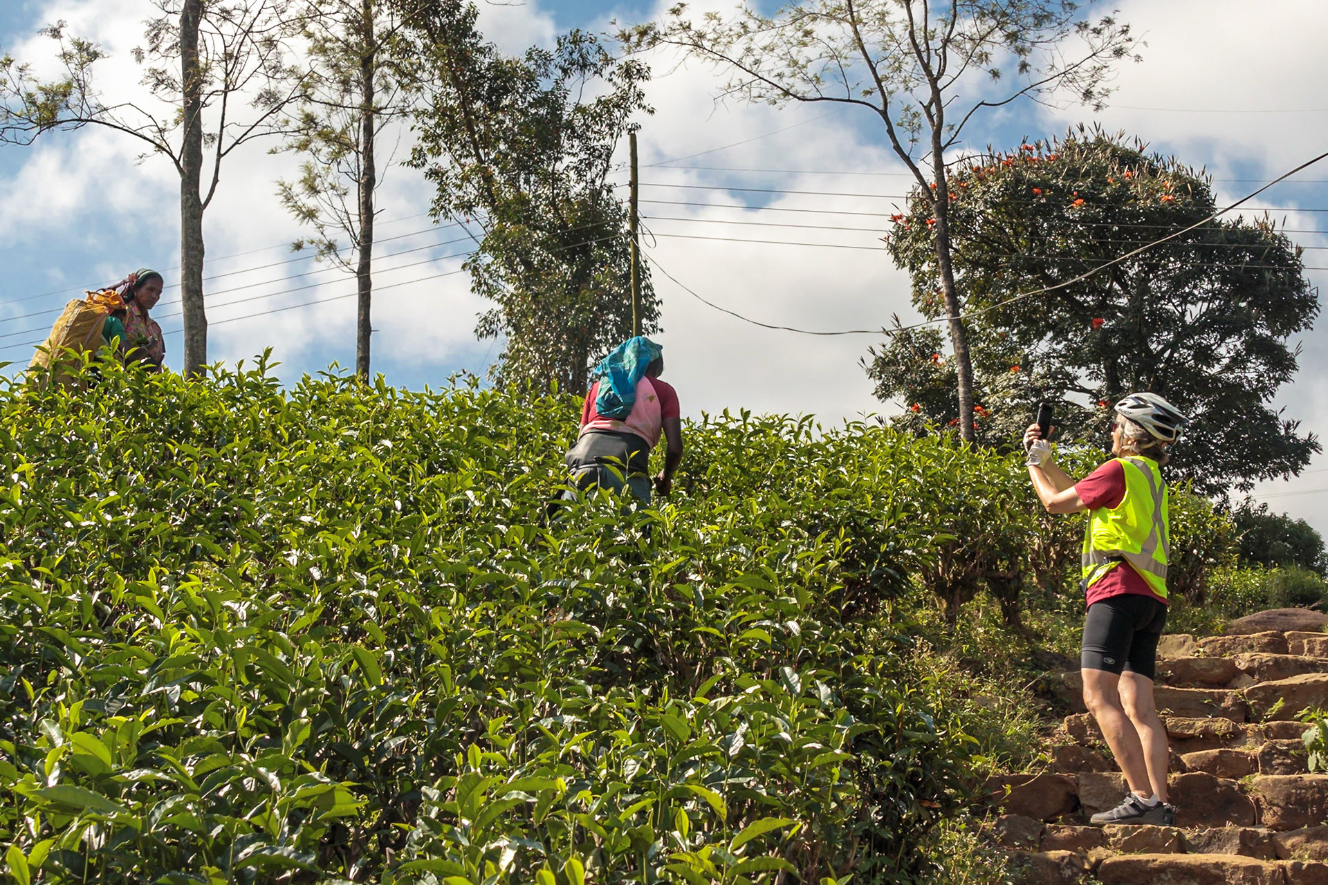 Sri Lankan Bicycle Adventure - Multiple Days Jan 2020