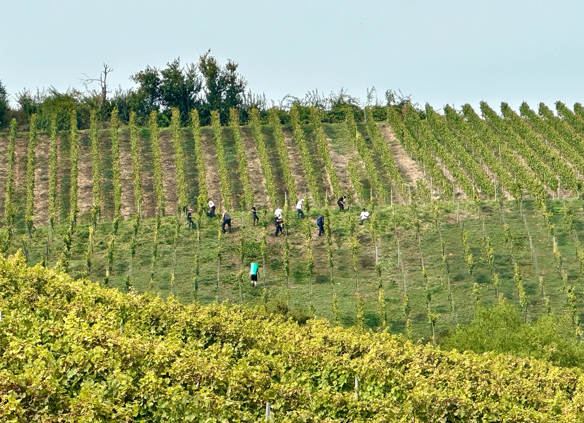Rhein Pannier Trip 2024
