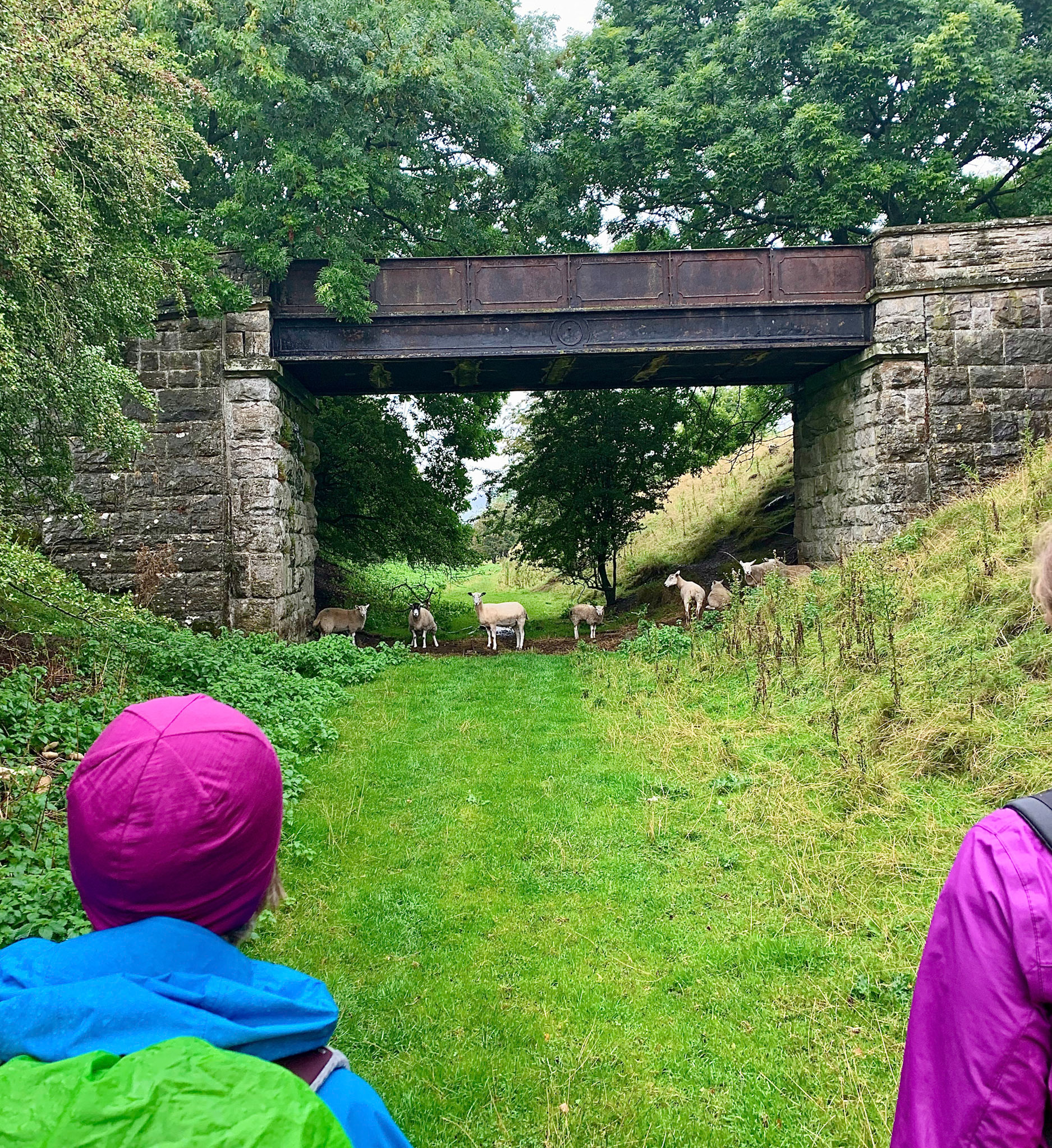 Norfolk, Herriot Way, London Sept 2022