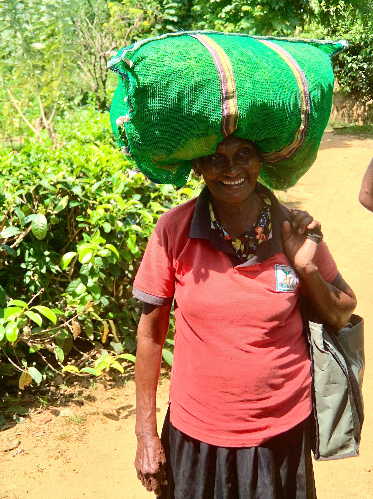 Sri Lanka Bicycle Adventure - Mirissa - Jan 2020