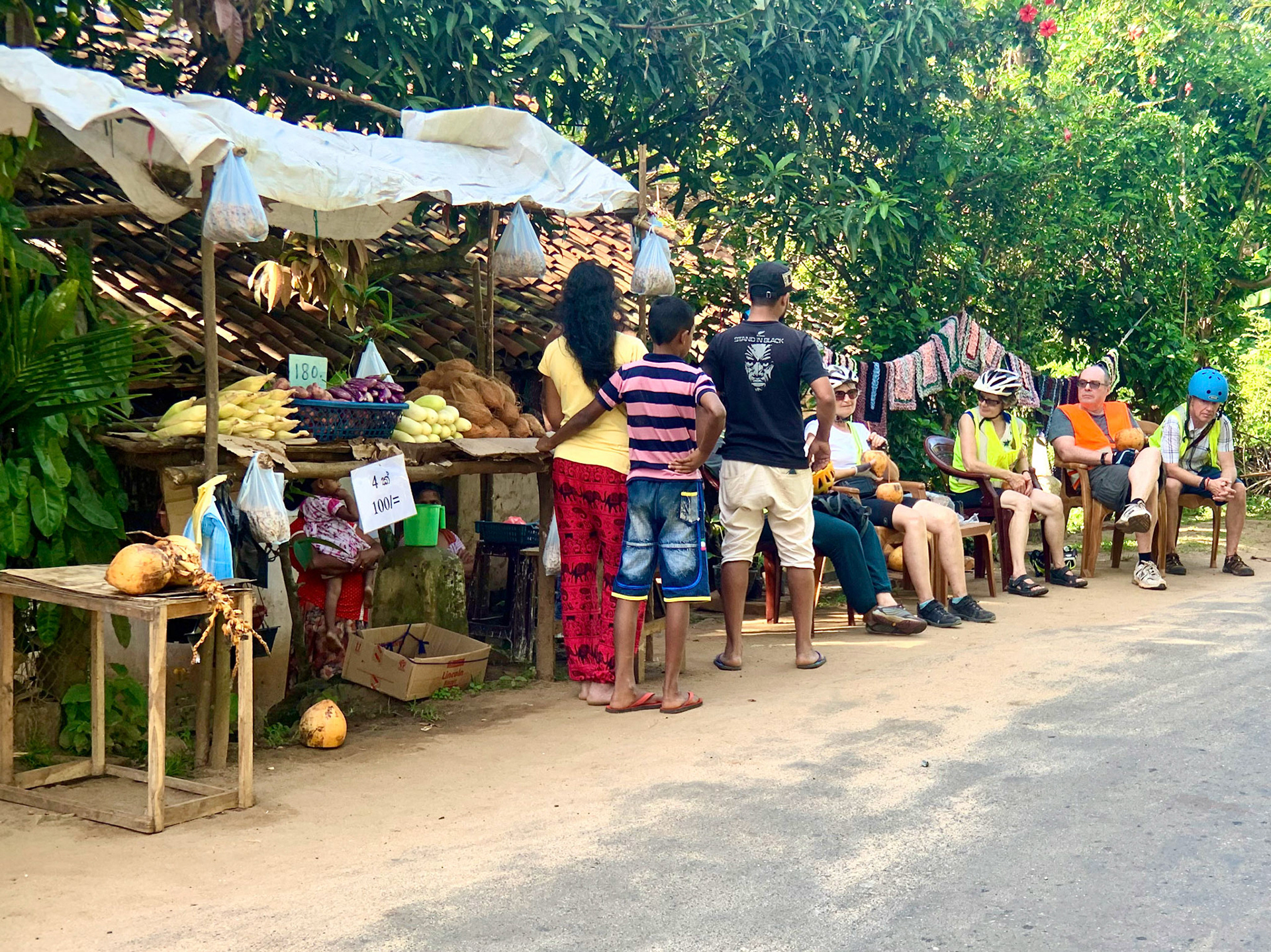 Siguriya to Kandy Jan 10th, 2020