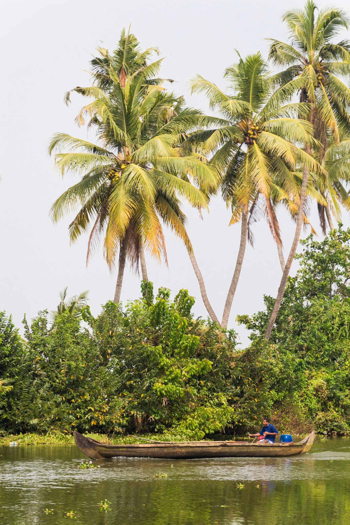 In the Kerala Backwaters and Fort Kochi
