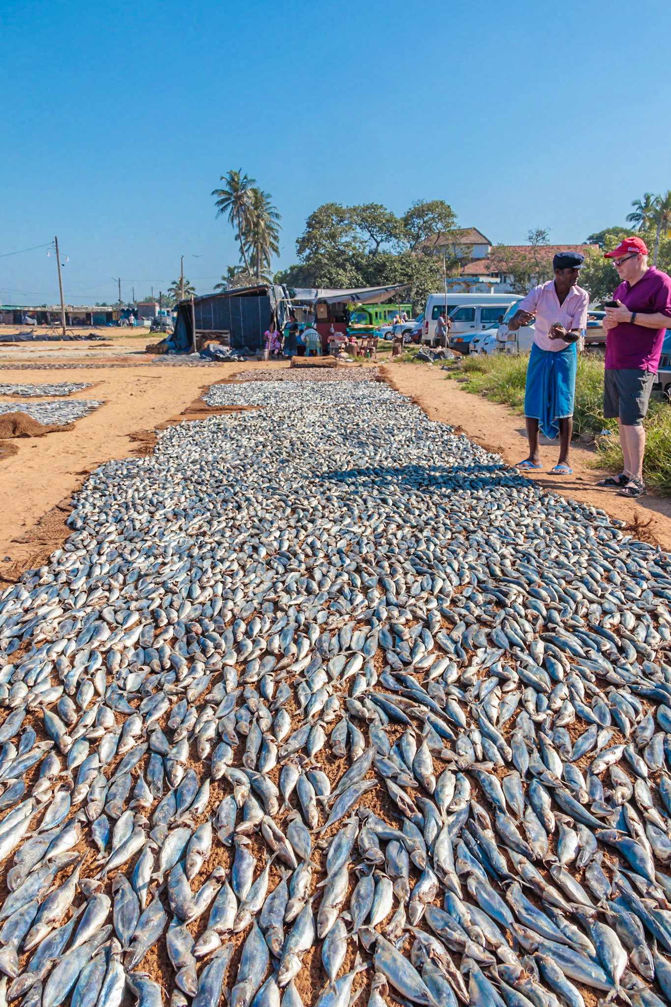 Dave's Sri Lankan Bicycle Adventure, Negombo Town, Jan 5, 2020
