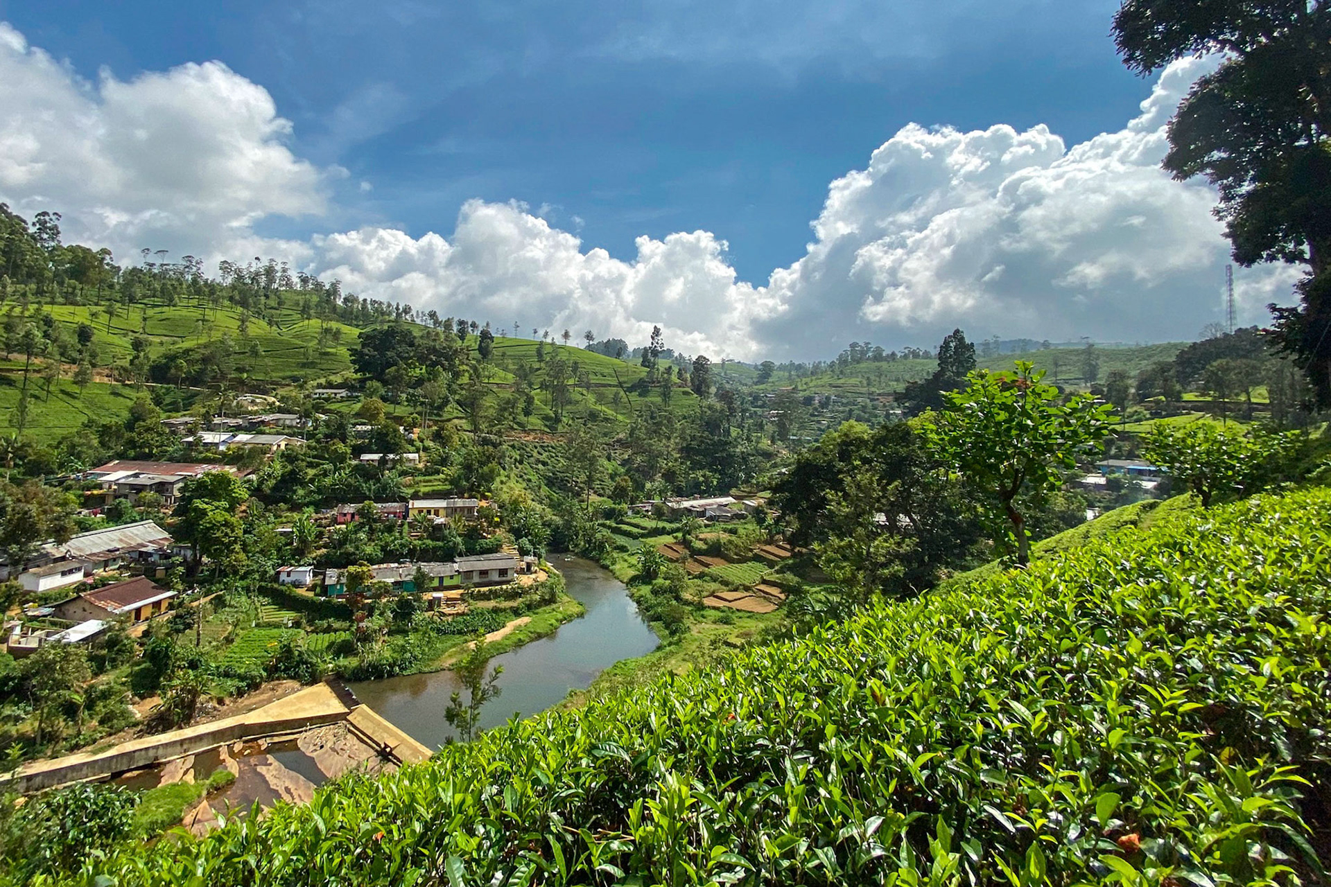 Sri Lanka Bicycle Adventure, January 2020