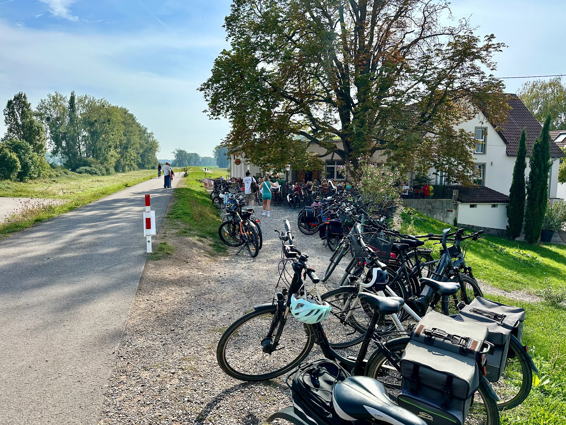 Rhein Pannier Trip 2024