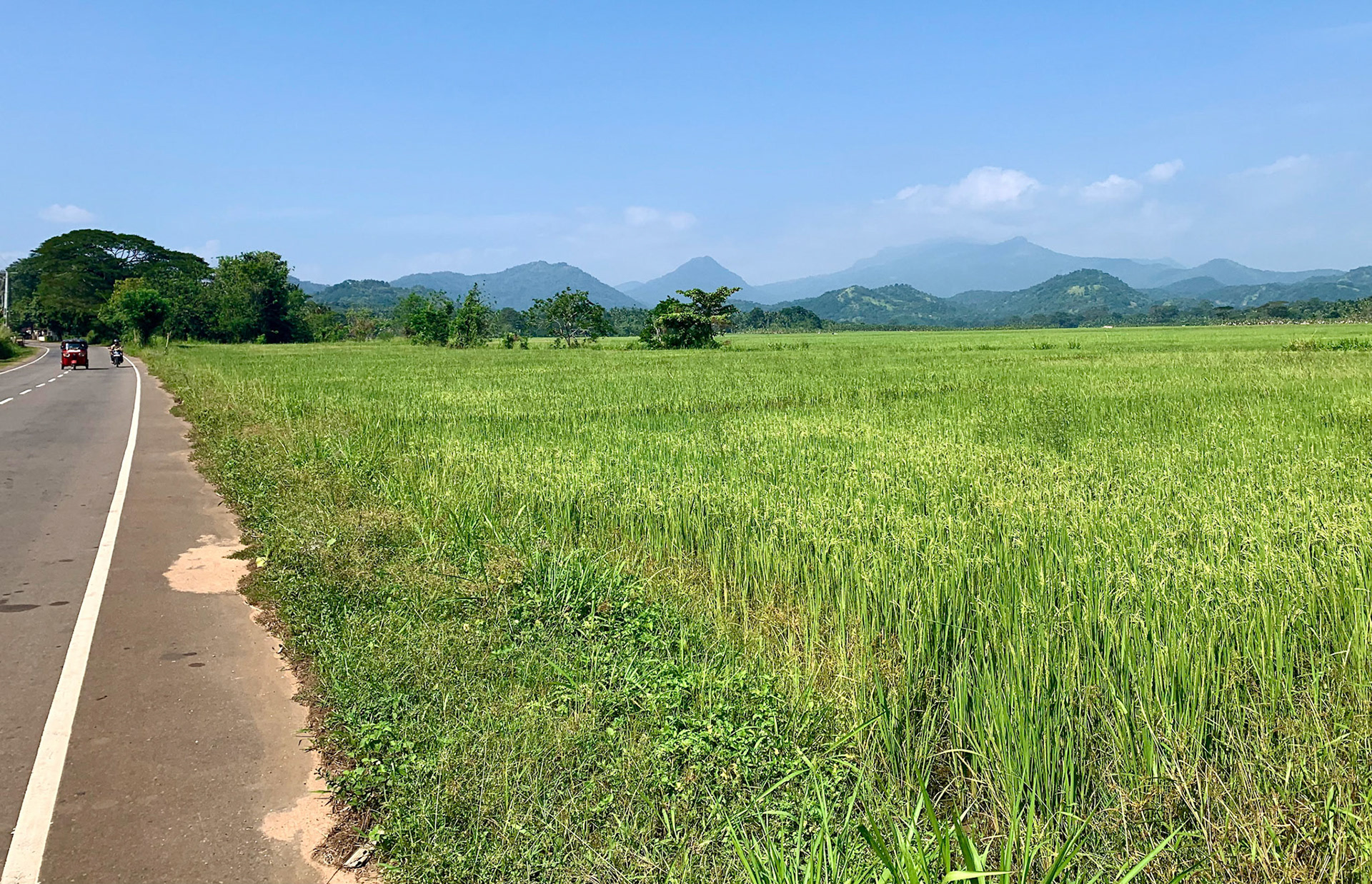 Udawalawe to Dondra Jan 15th, 2020