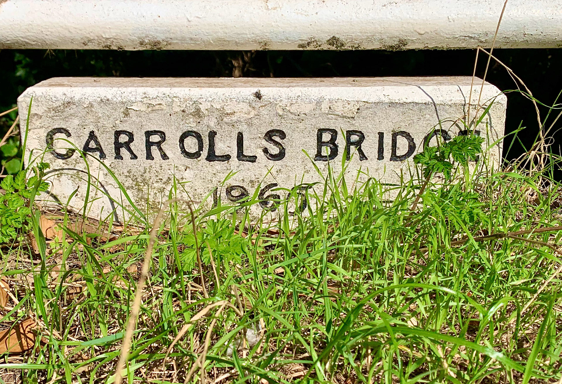 Norfolk, Herriot Way, London Sept 2022
