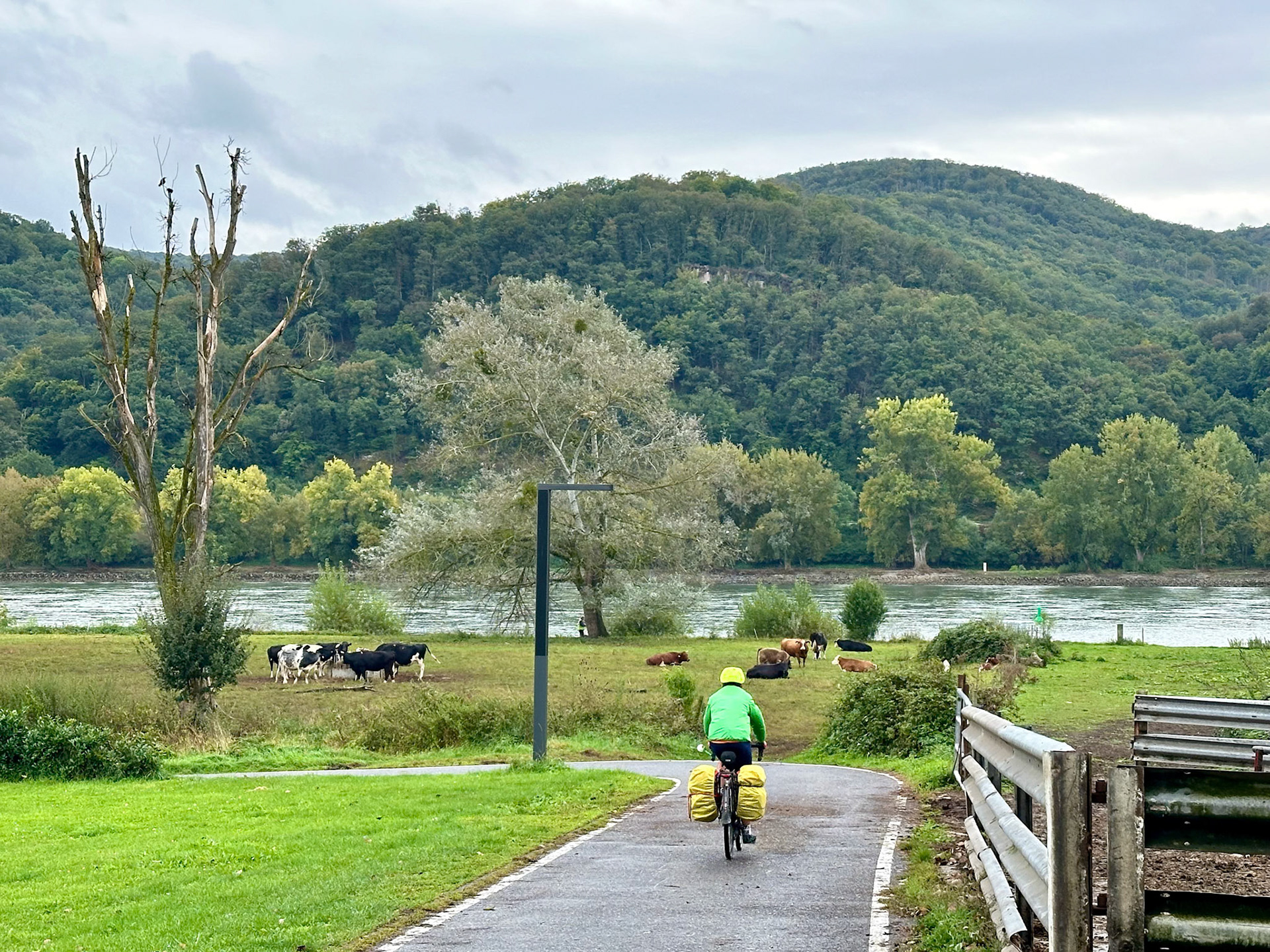 Rhein Pannier Trip 2024