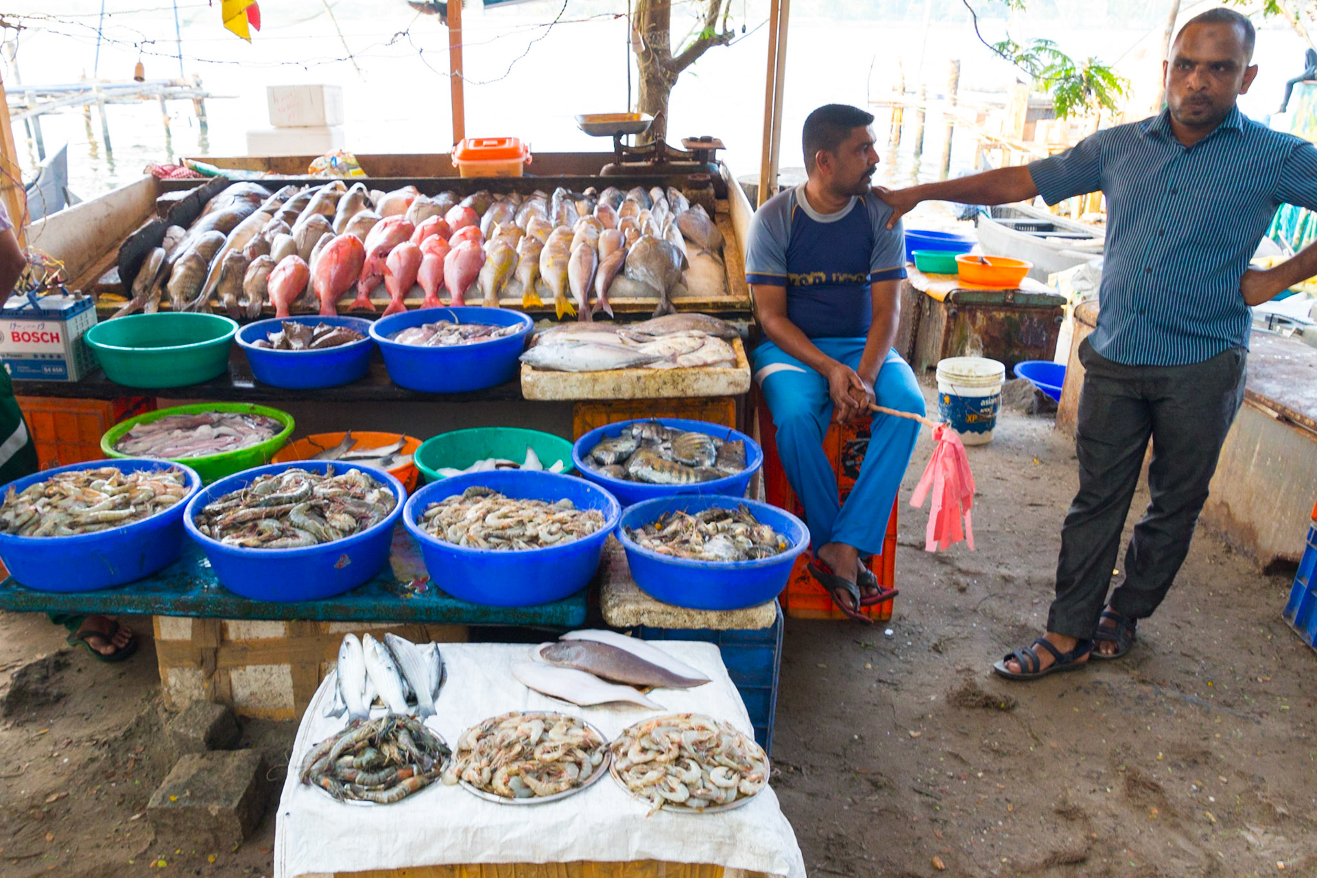 Around Fort Kochi, Kerala