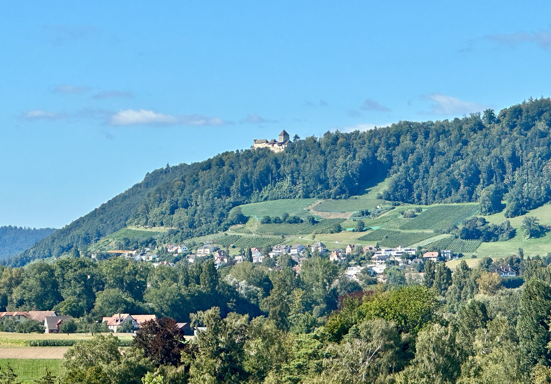 Rhein Pannier Trip 2024