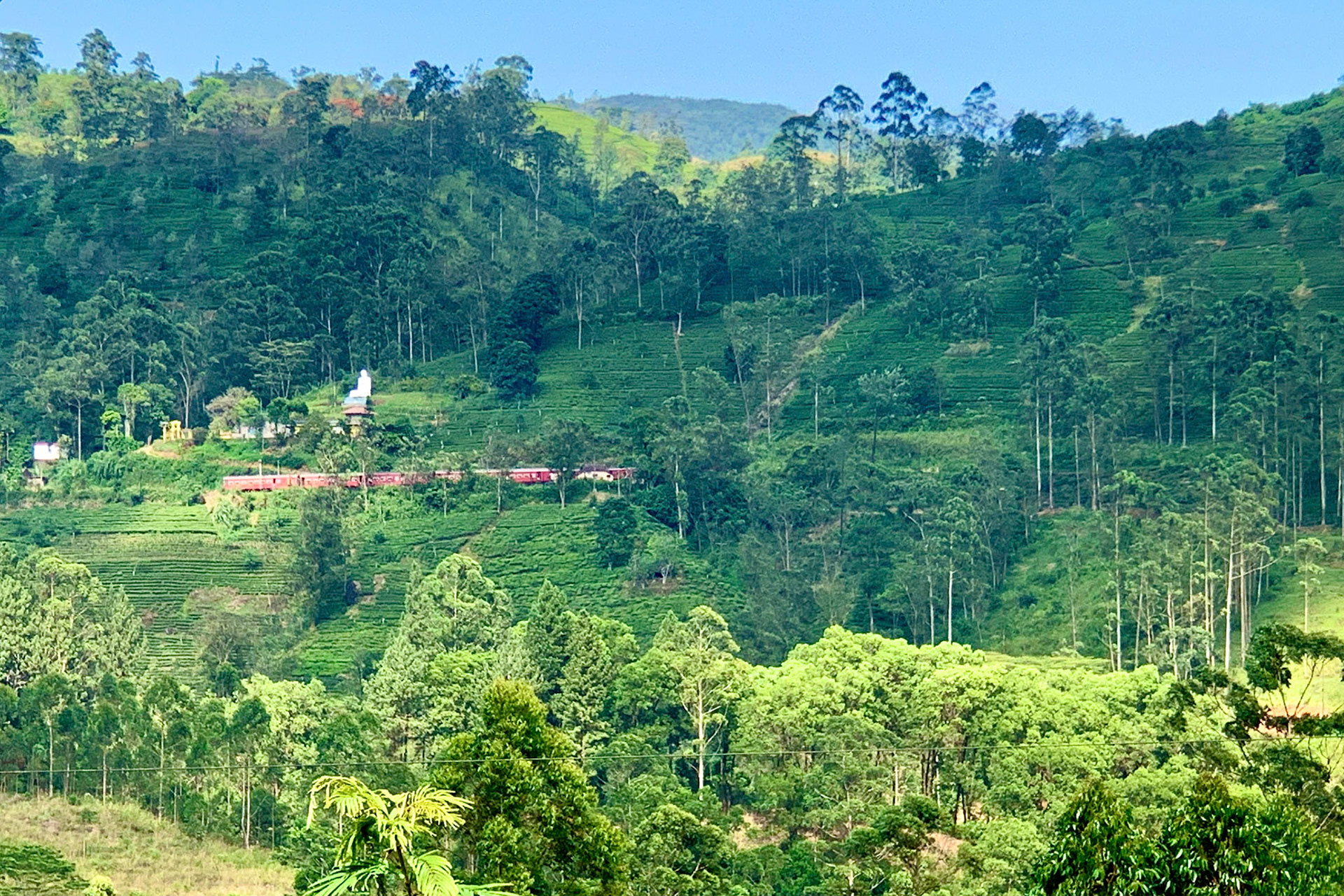Kandy to Hatton Jan 12th, 2020