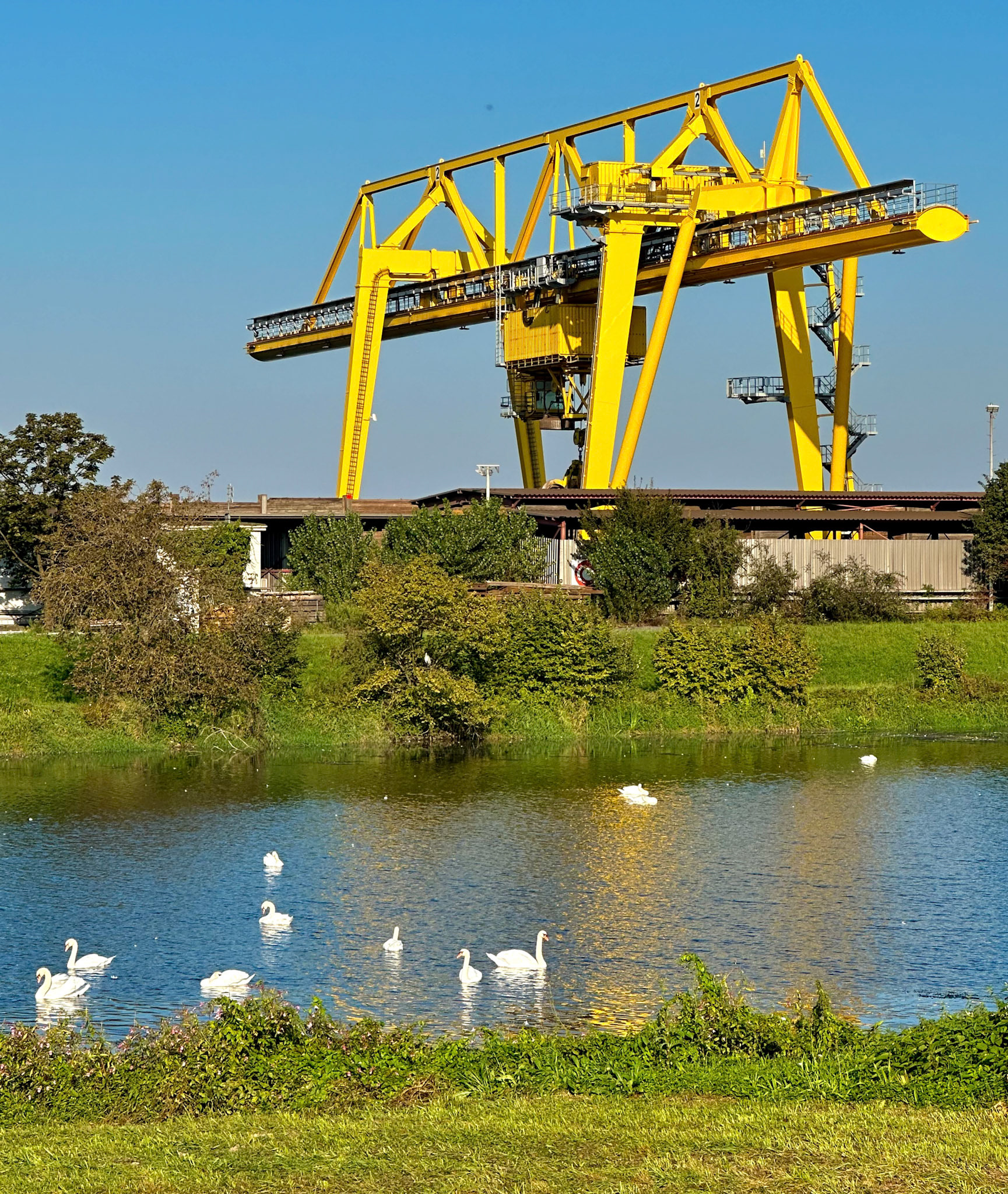 Rhein Pannier Trip 2024