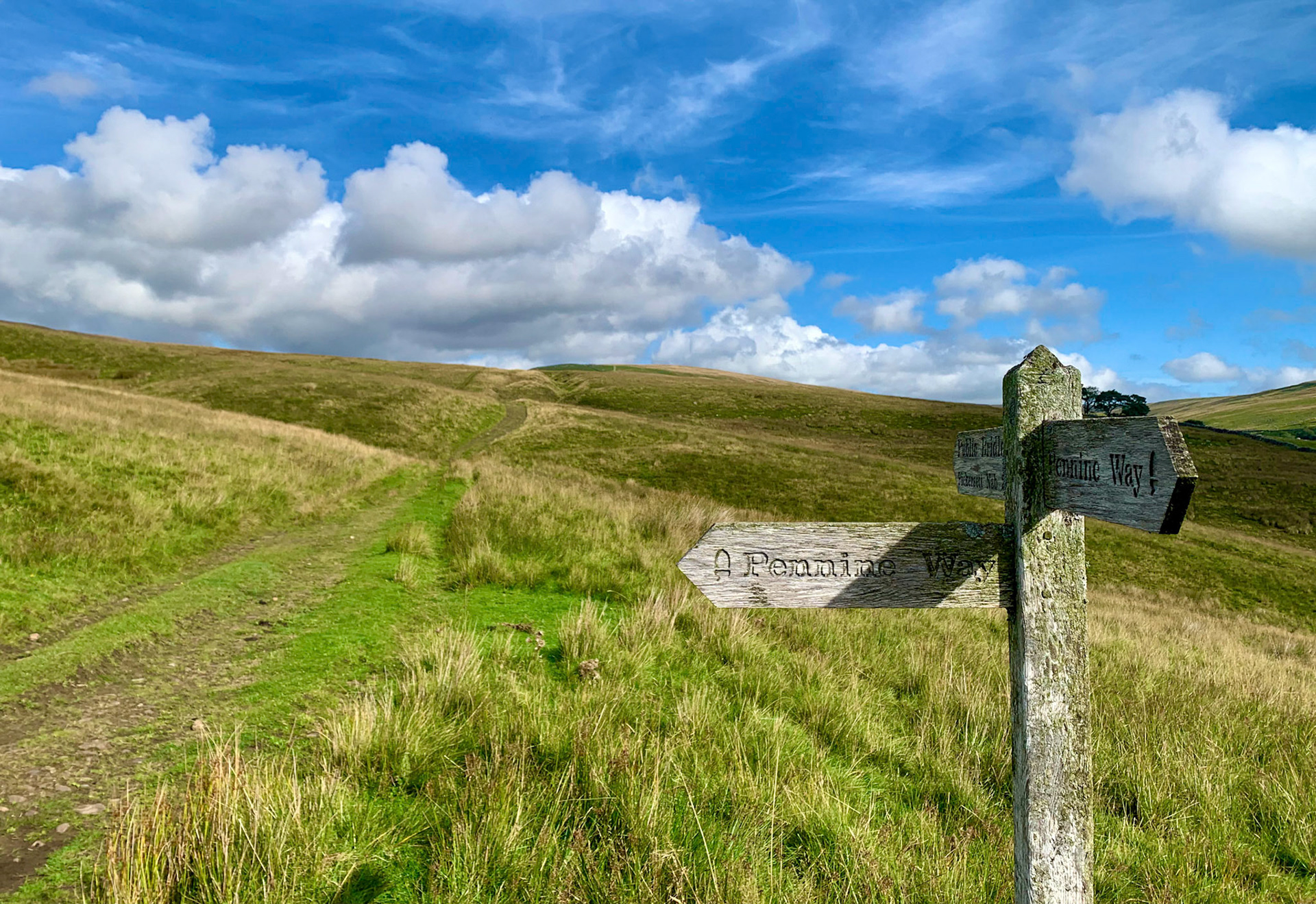Norfolk, Herriot Way, London Sept 2022