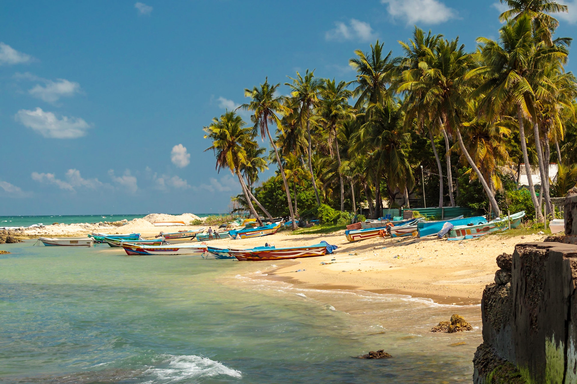 Sri Lankan Bicycle Adventure - Multiple Days Jan 2020