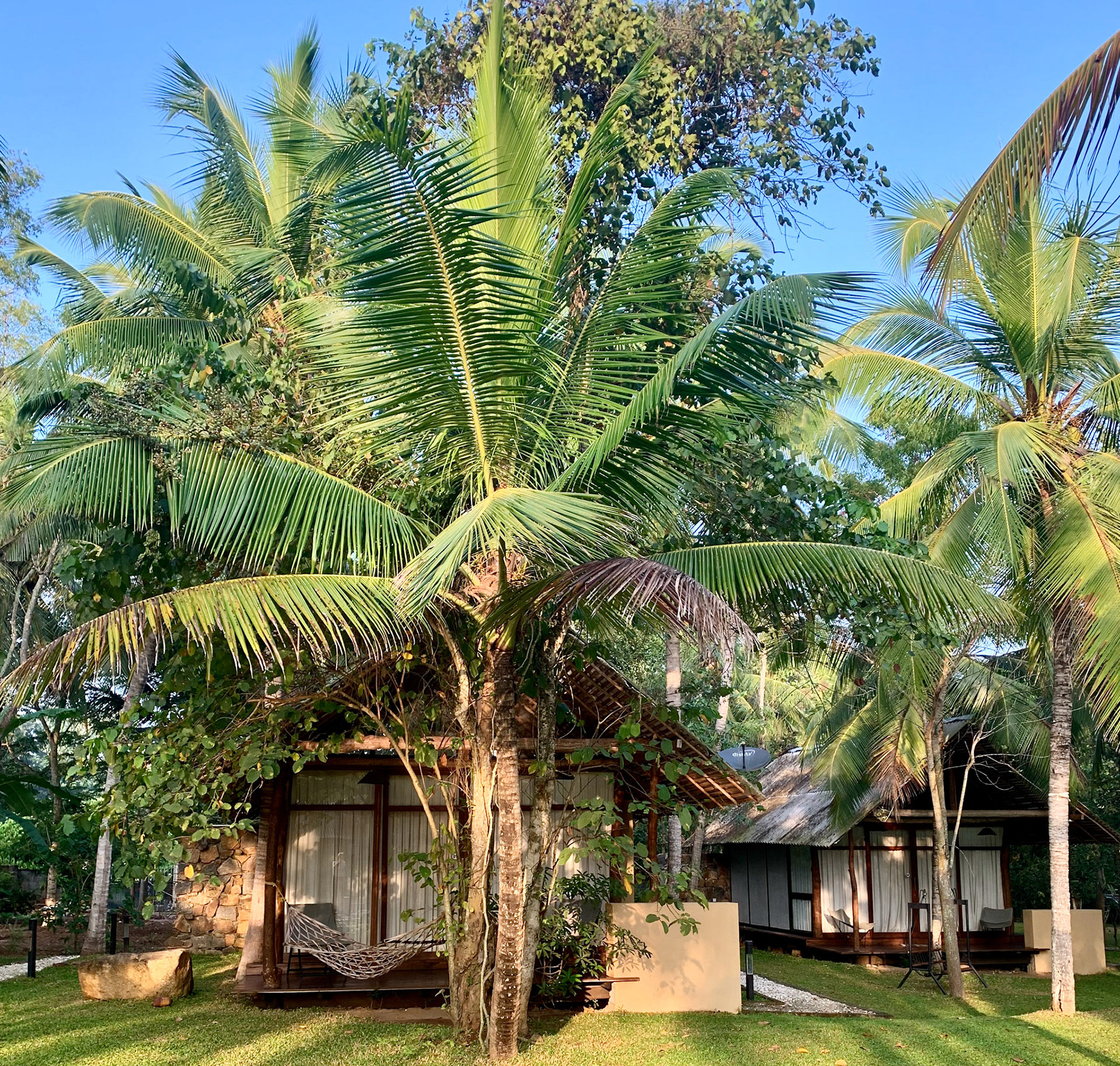 Mount Field to Udawalawe Jan 14th, 2020