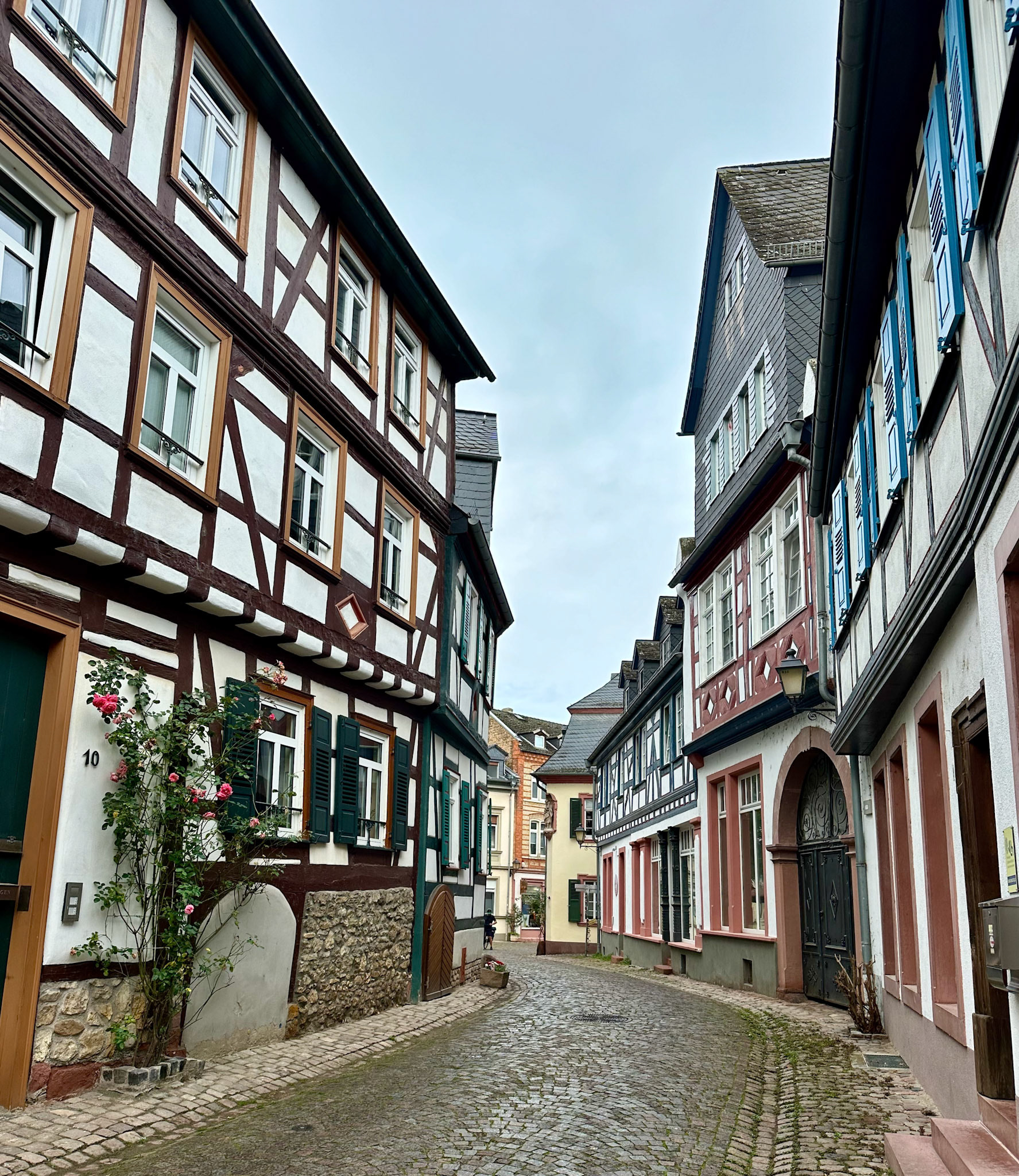 Rhein Pannier Trip 2024