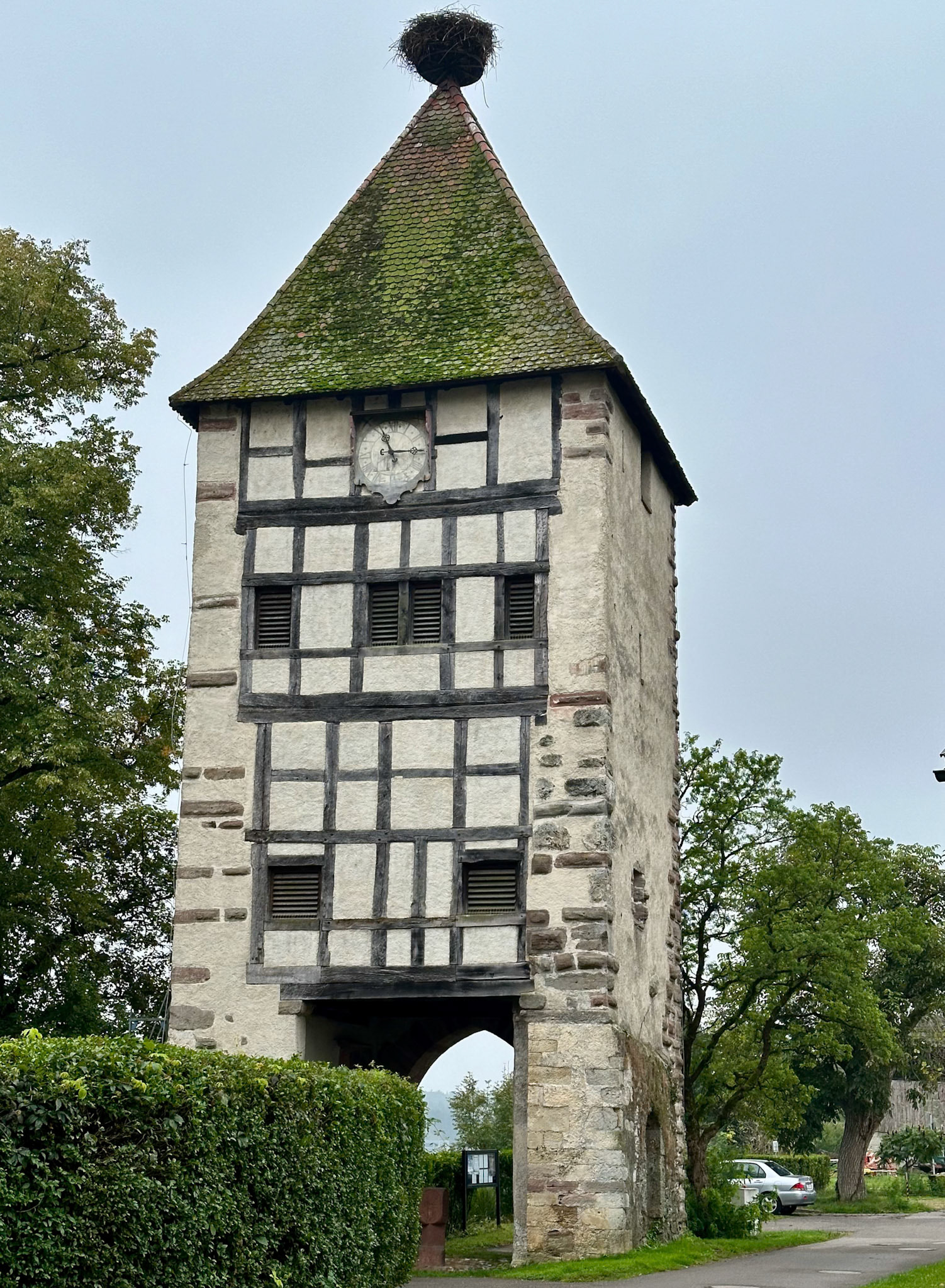 Rhein Pannier Trip 2024