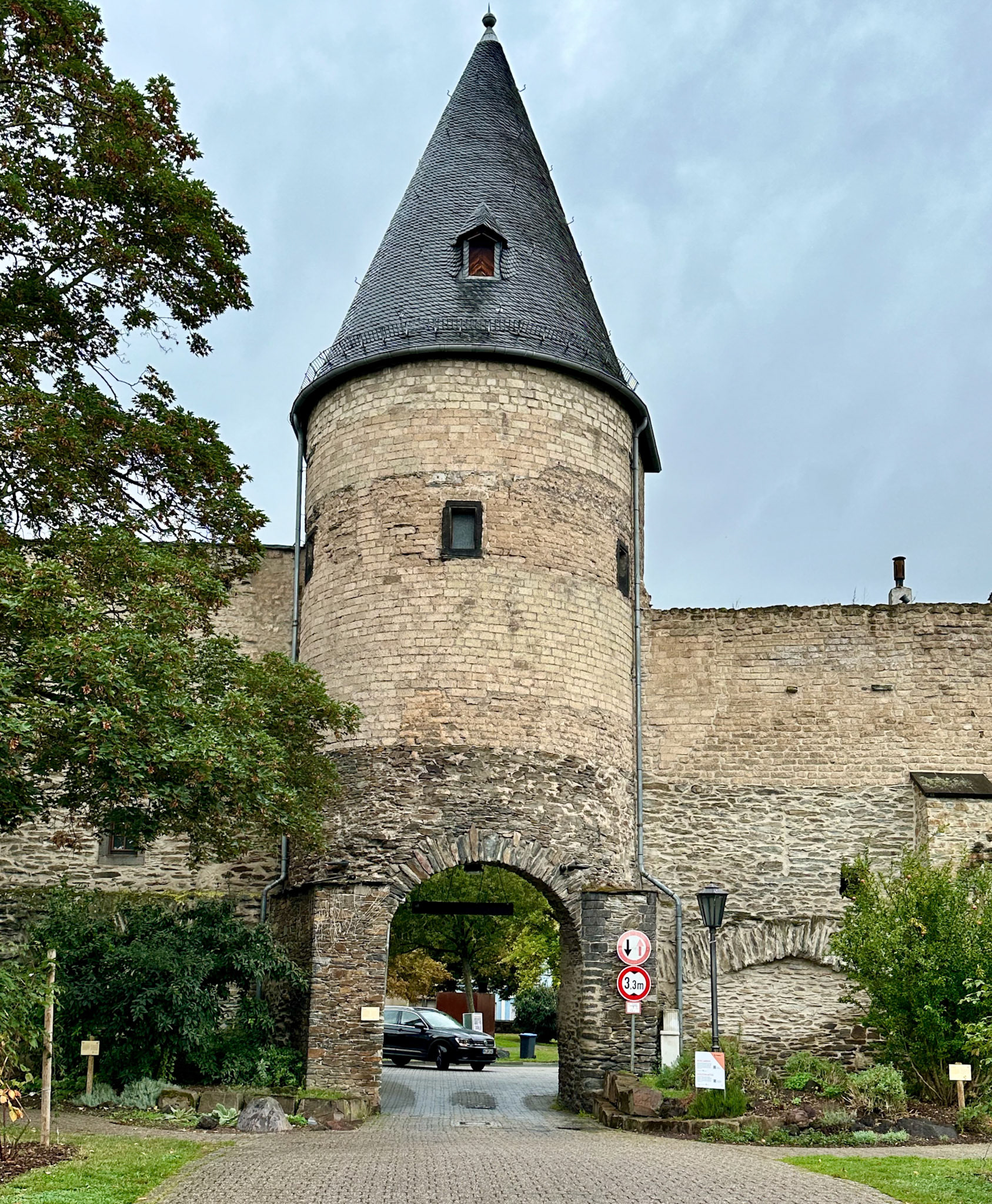 Rhein Pannier Trip 2024