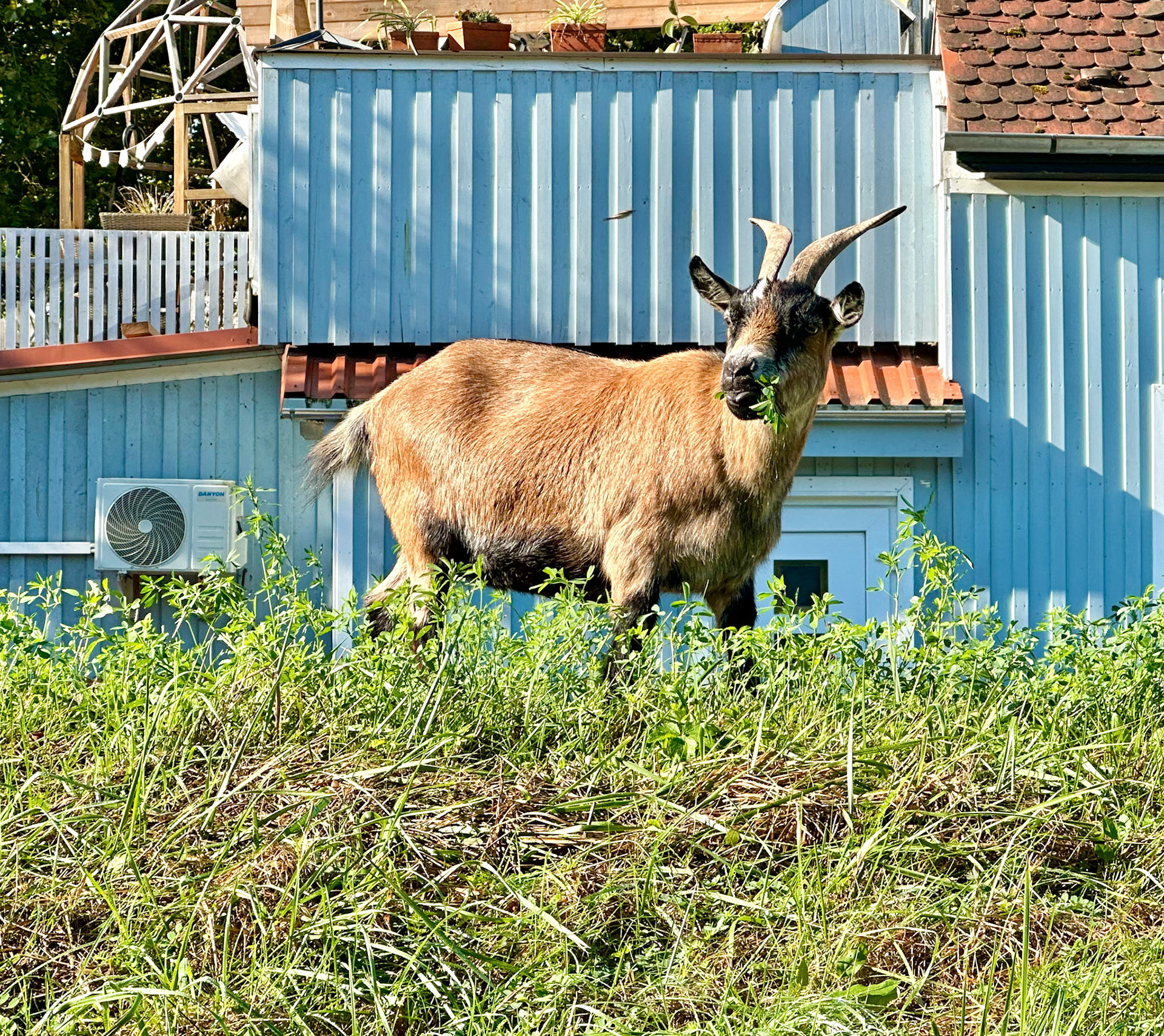 Rhein Pannier Trip 2024