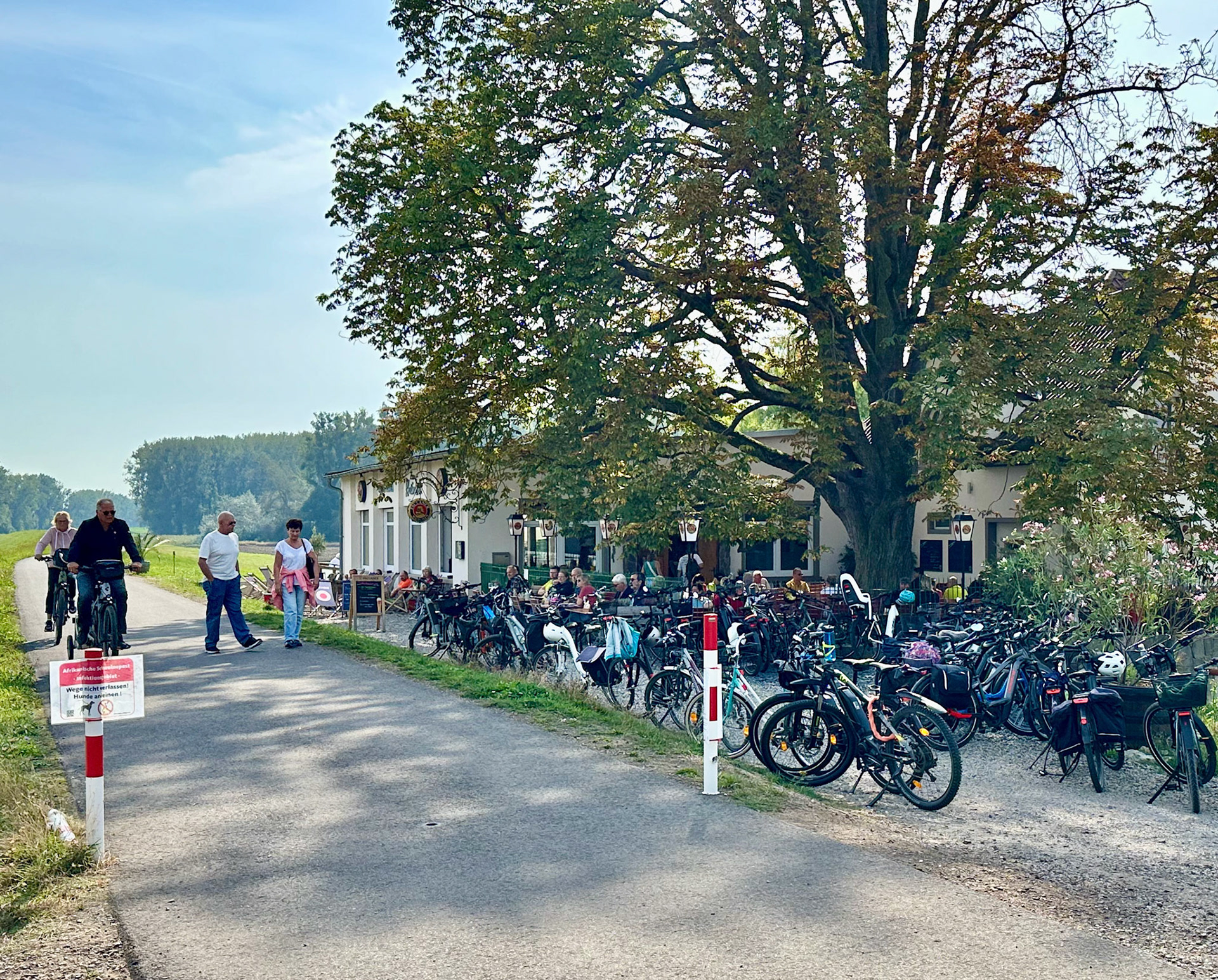 Rhein Pannier Trip 2024