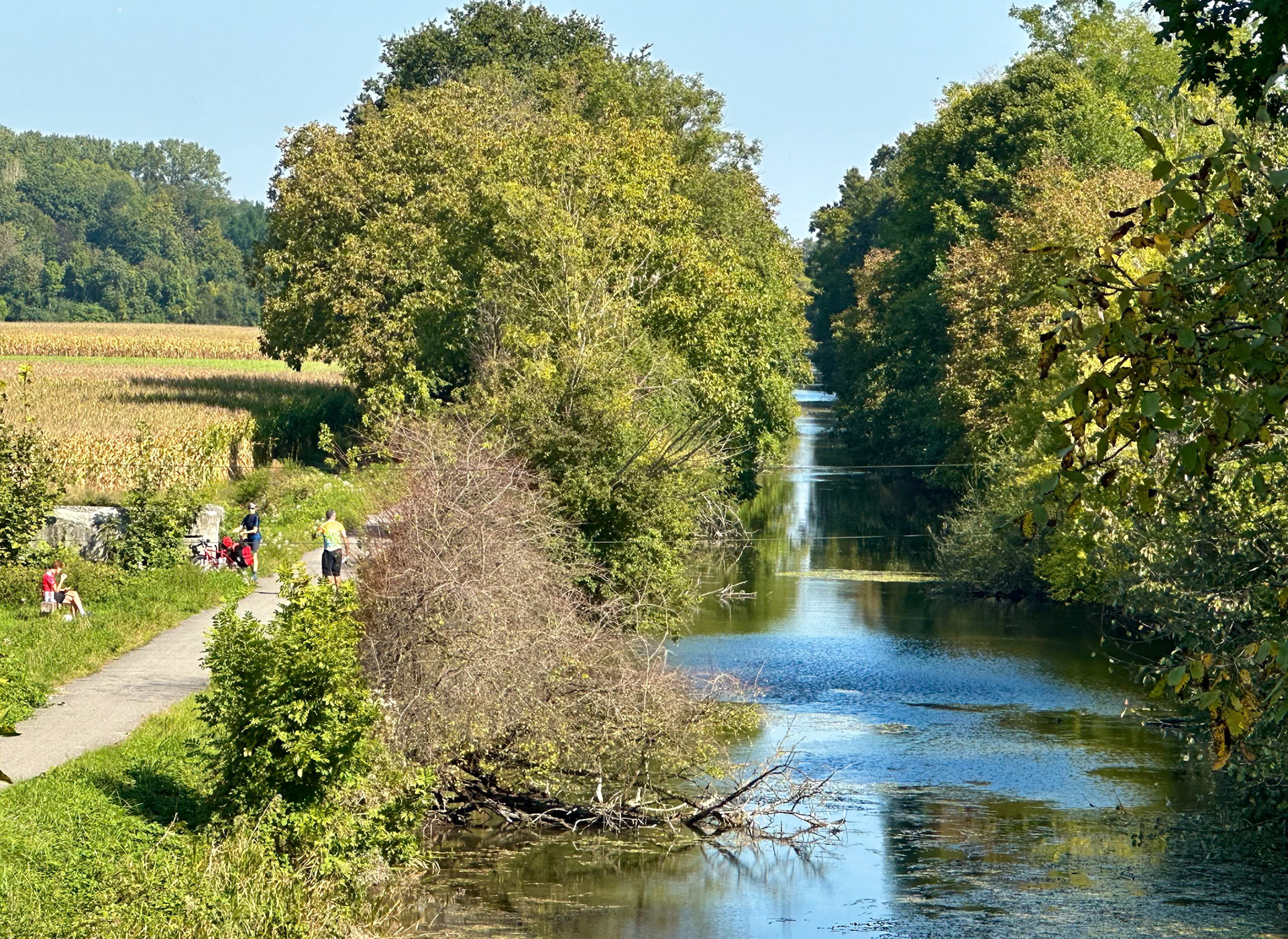 Rhein Pannier Trip 2024