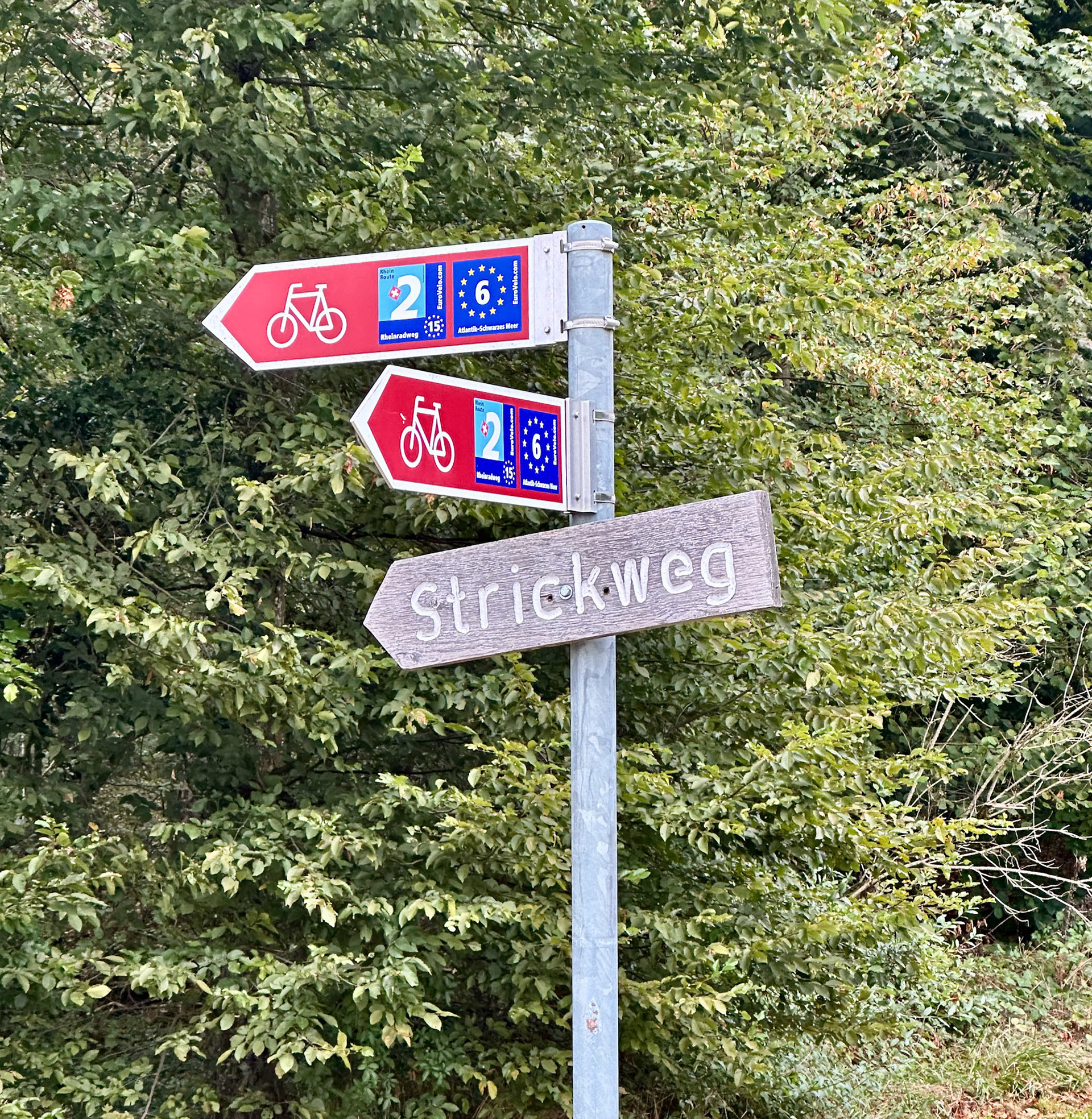 Rhein Pannier Trip 2024