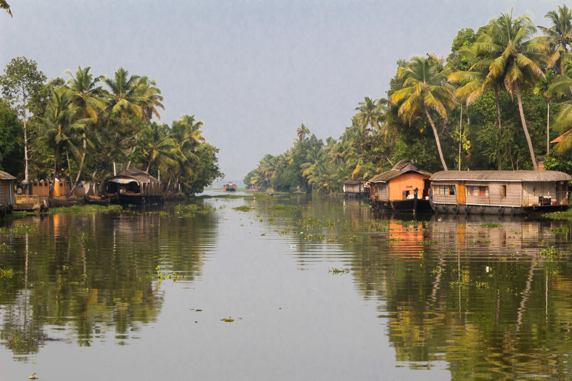 In the Kerala Backwaters and Fort Kochi