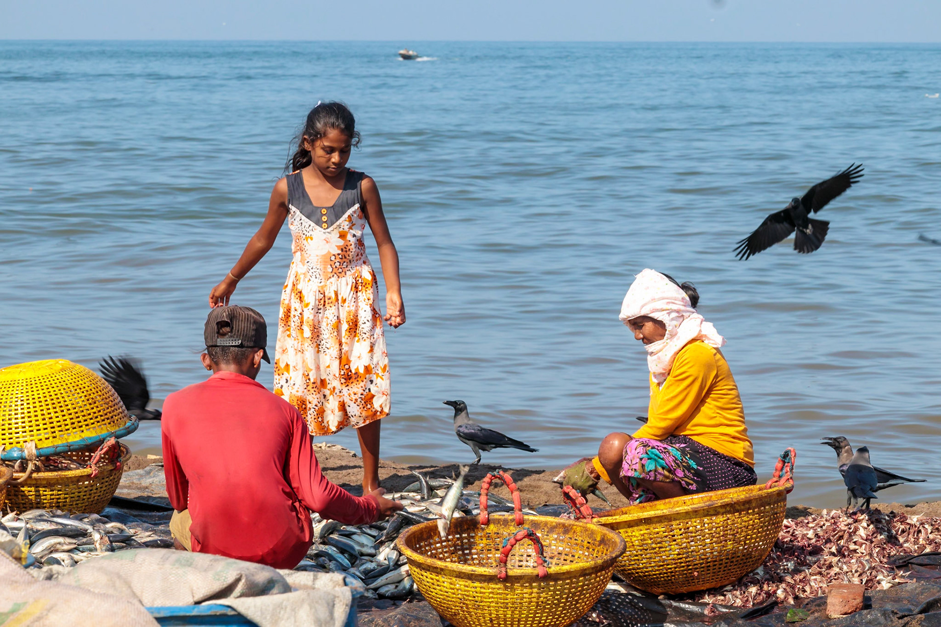 Dave's Sri Lankan Bicycle Adventure, Negombo Town, Jan 5, 2020