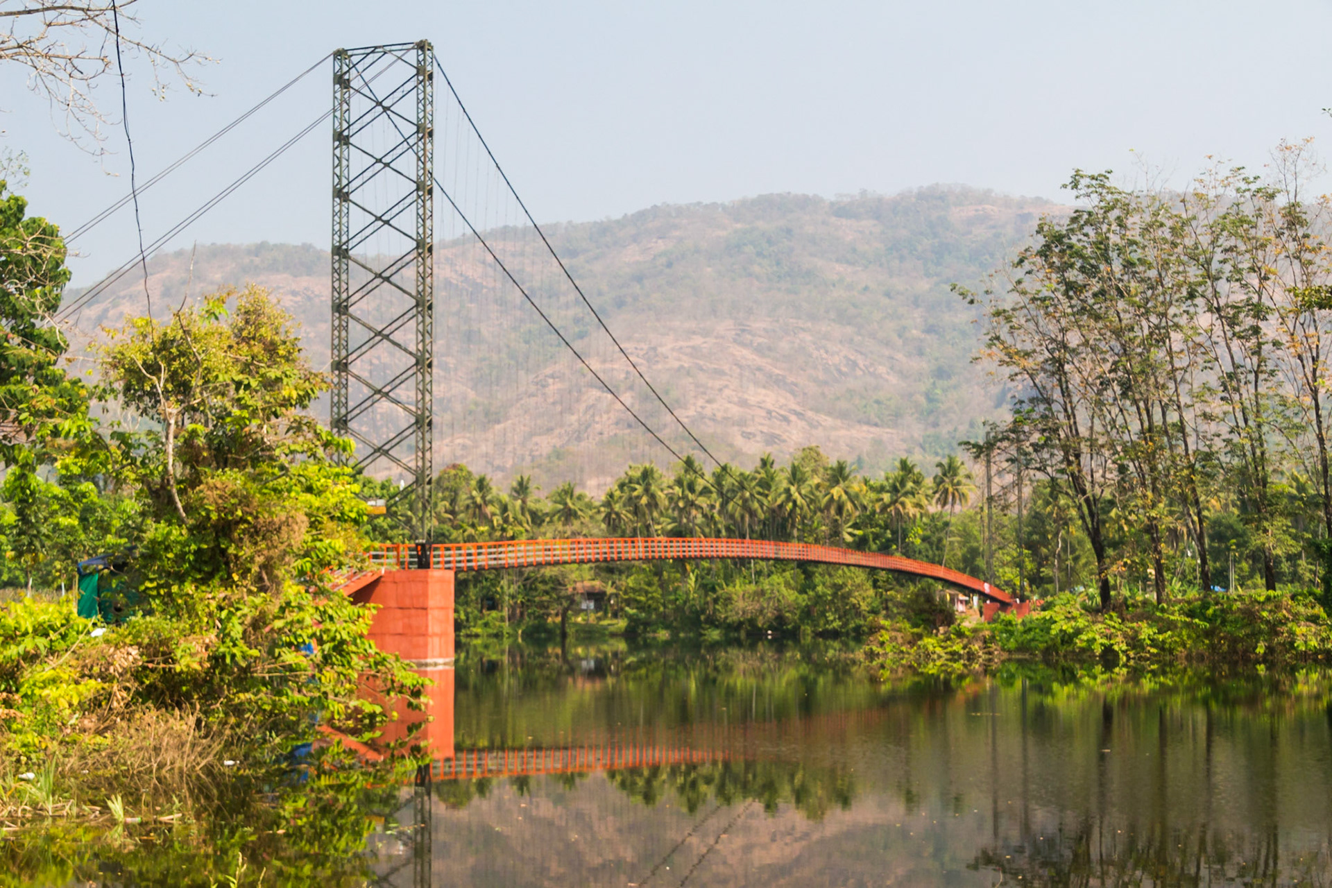 From Munnar to Thattekad down the western ghats, and around Bird's Lagoon Resort