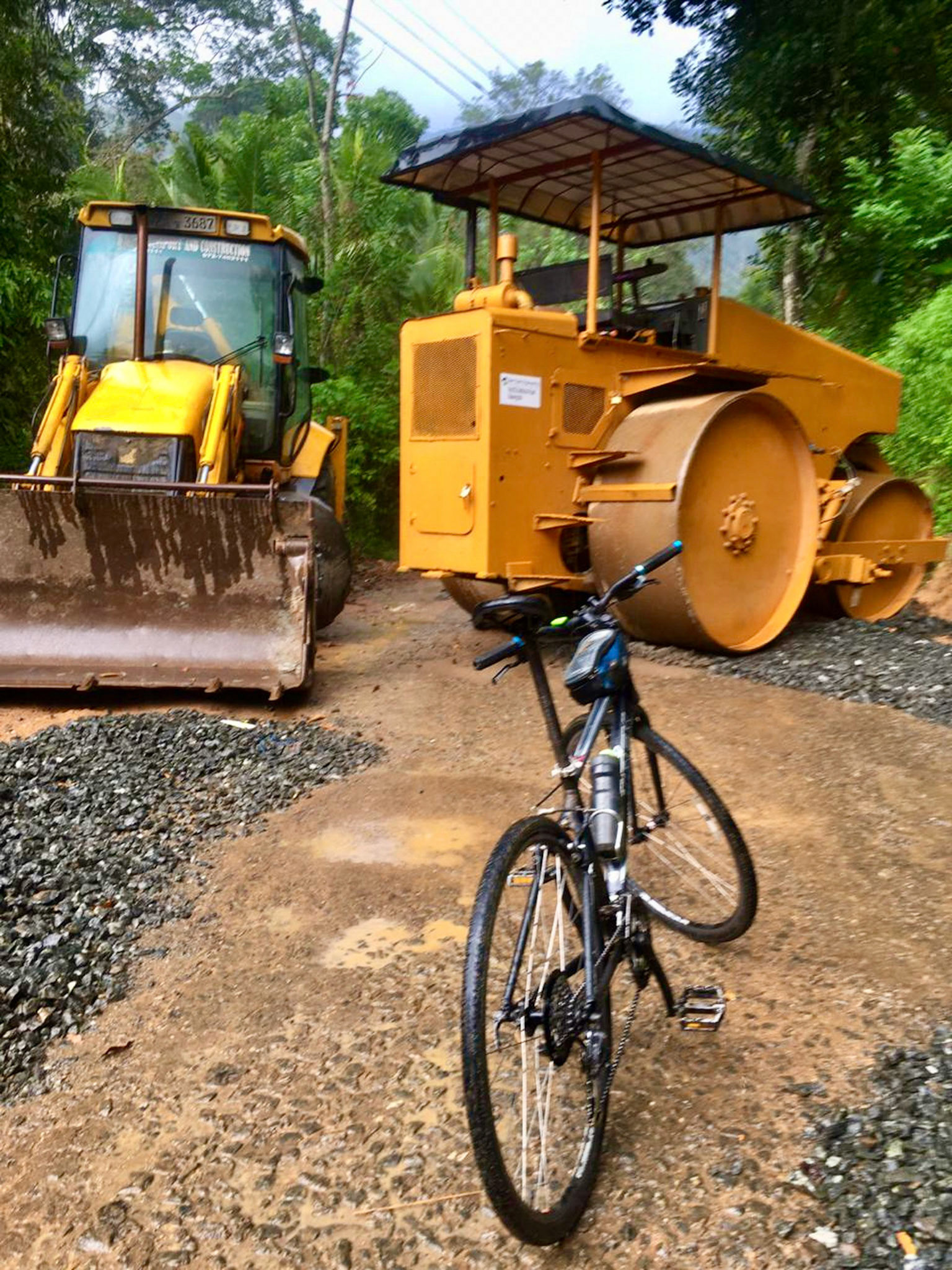 Hatton to Mount Field Jan 13th, 2020