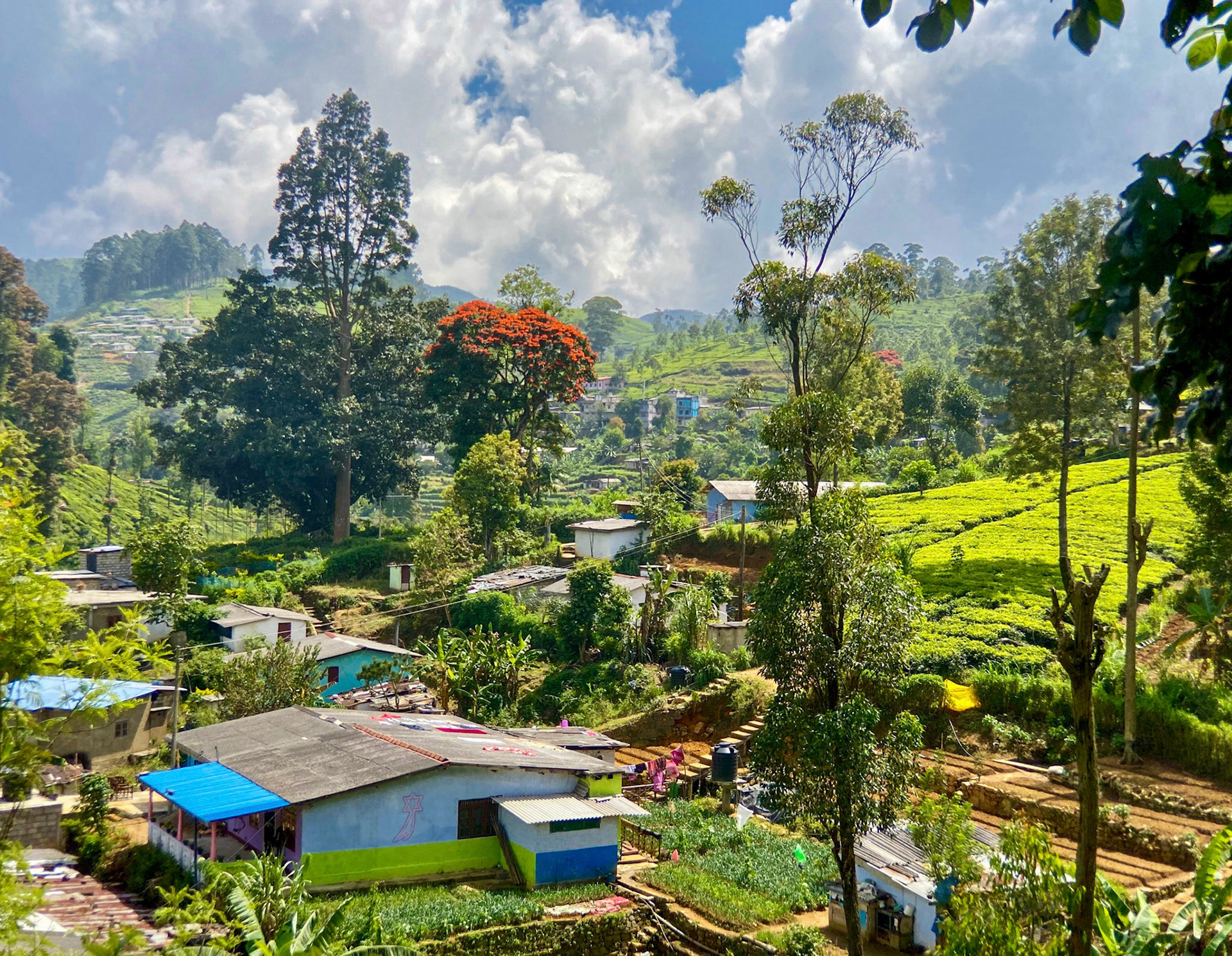 Sri Lanka Bicycle Adventure, January 2020