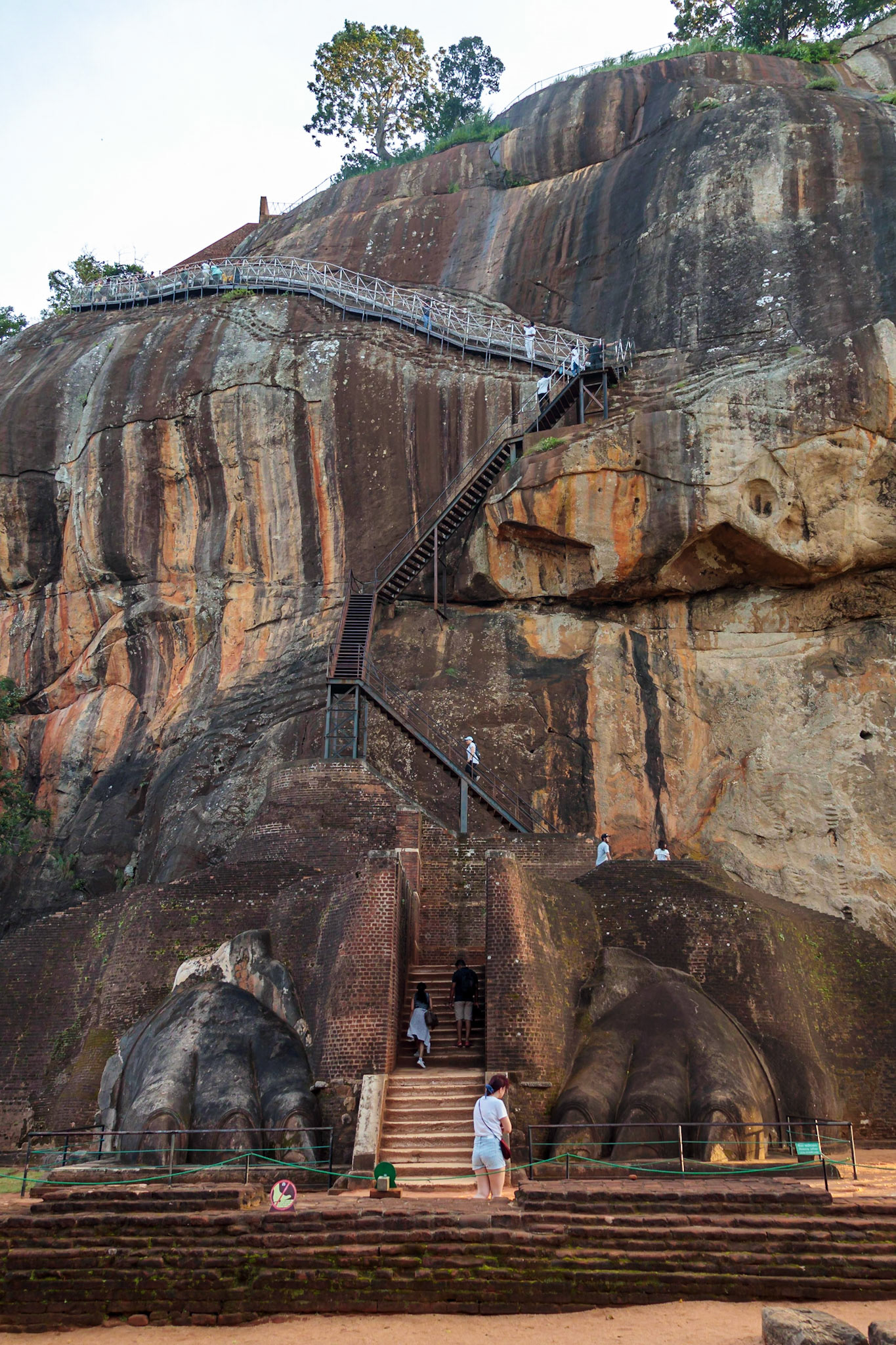 Sri Lankan Bicycle Adventure - Multiple Days Jan 2020