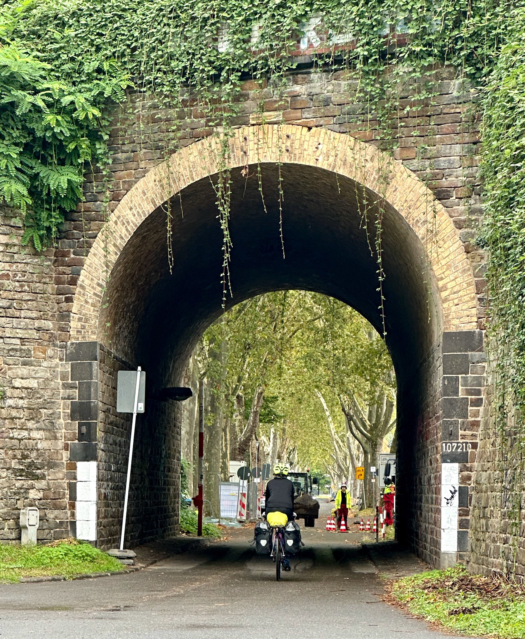 Rhein Pannier Trip 2024