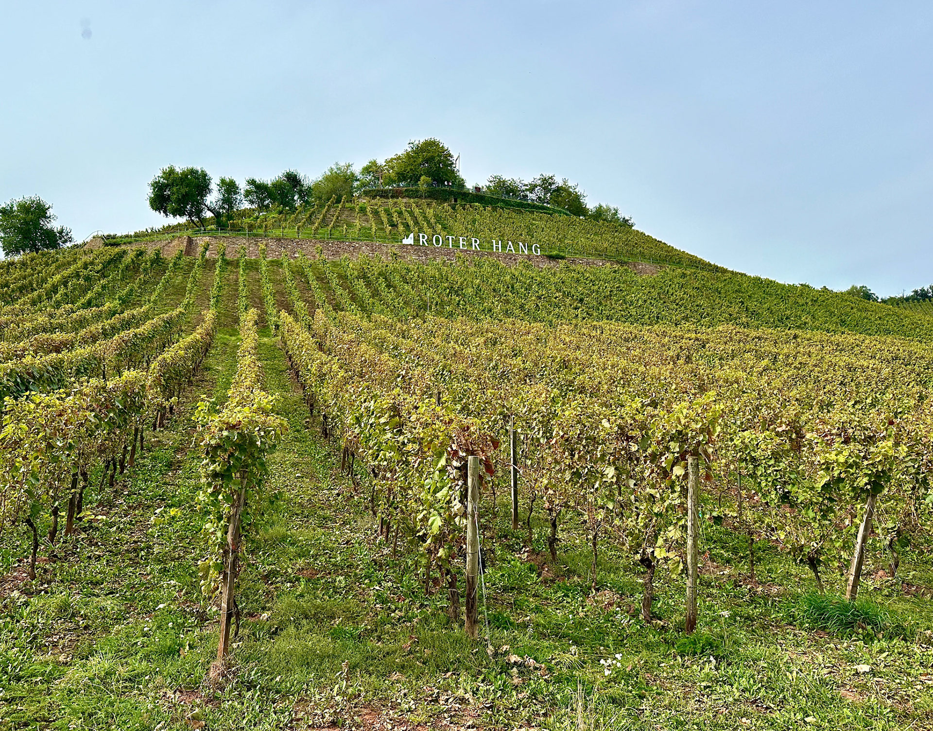 Rhein Pannier Trip 2024