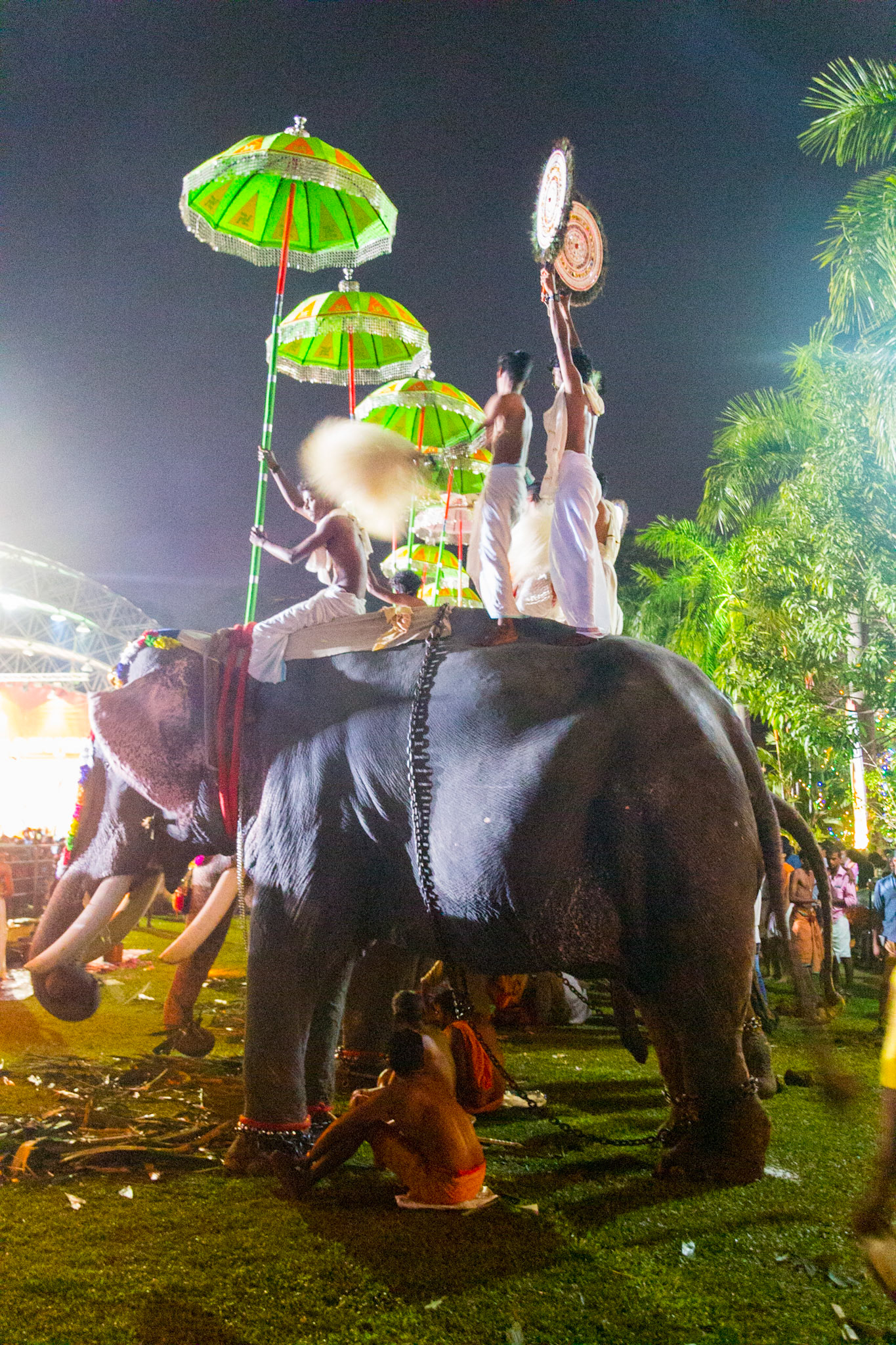 In the Kerala Backwaters and Fort Kochi