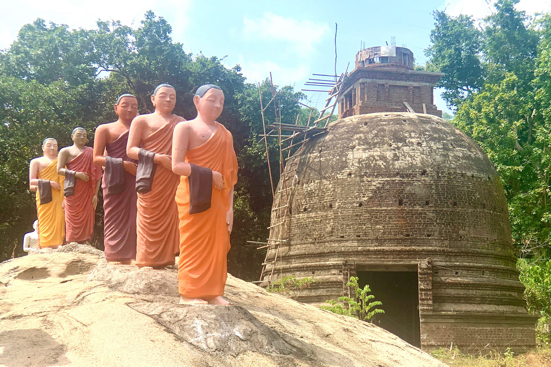 Mount Field to Udawalawe Jan 14th, 2020