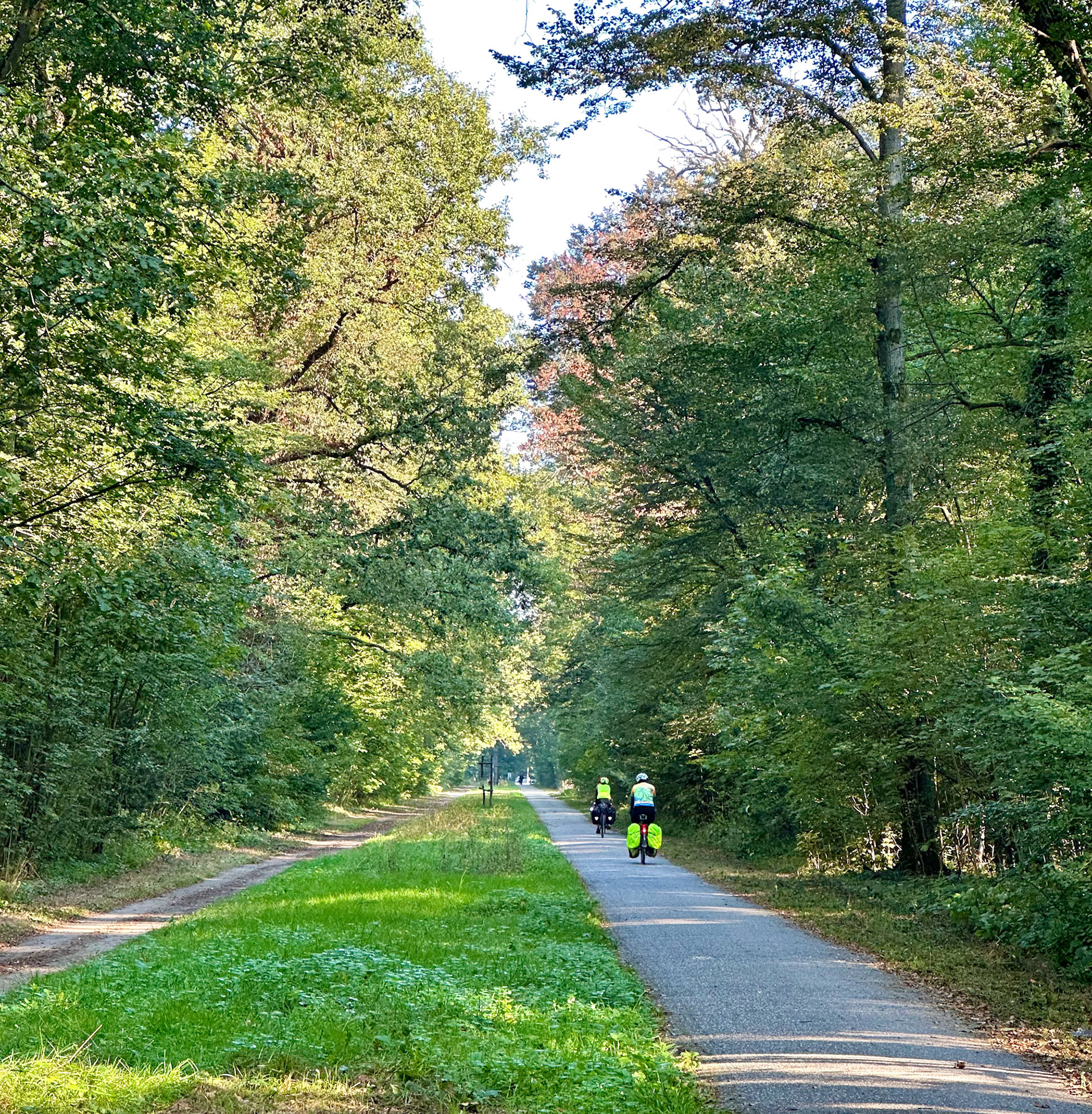 Rhein Pannier Trip 2024